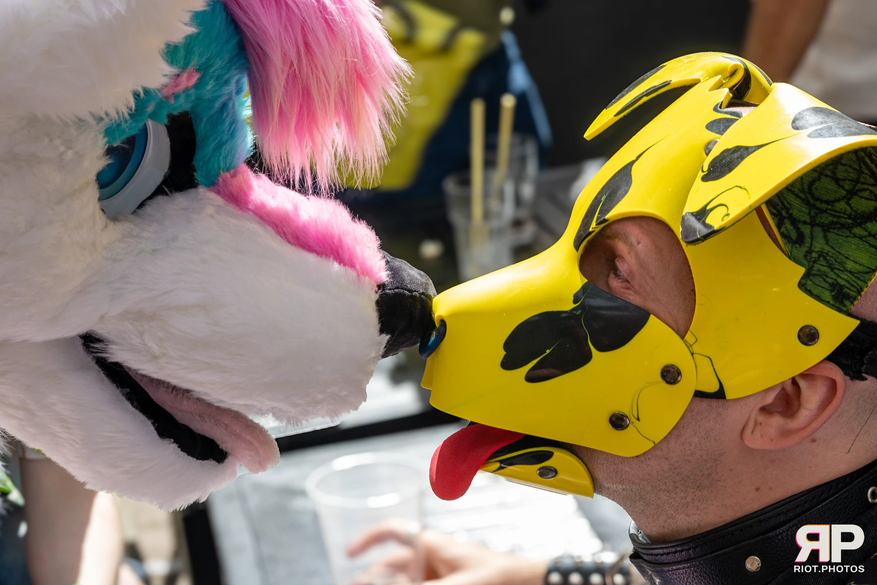 Pup Kaz — furry & pup photography by Fluffy Riot — photo 624