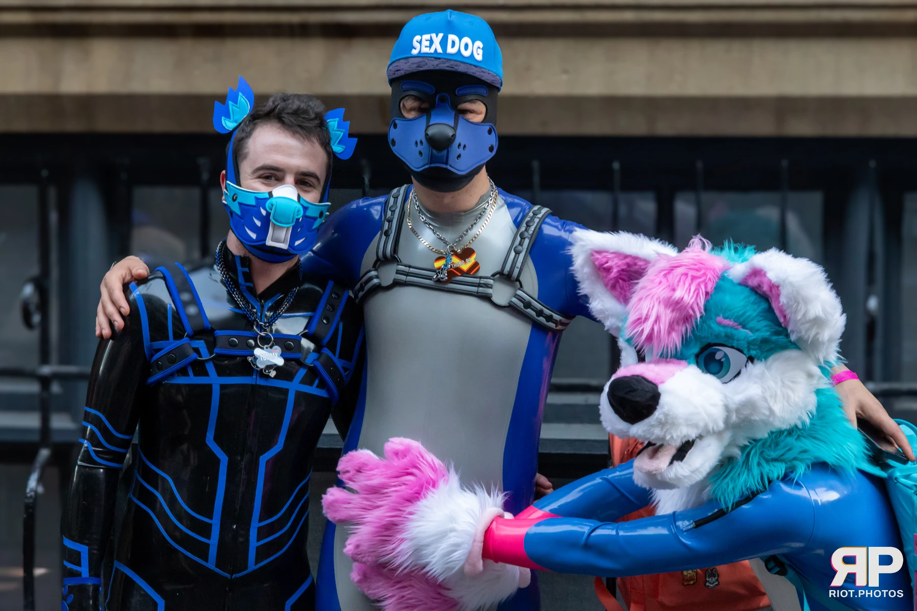 Pup Kaz — furry & pup photography by Fluffy Riot — photo 626