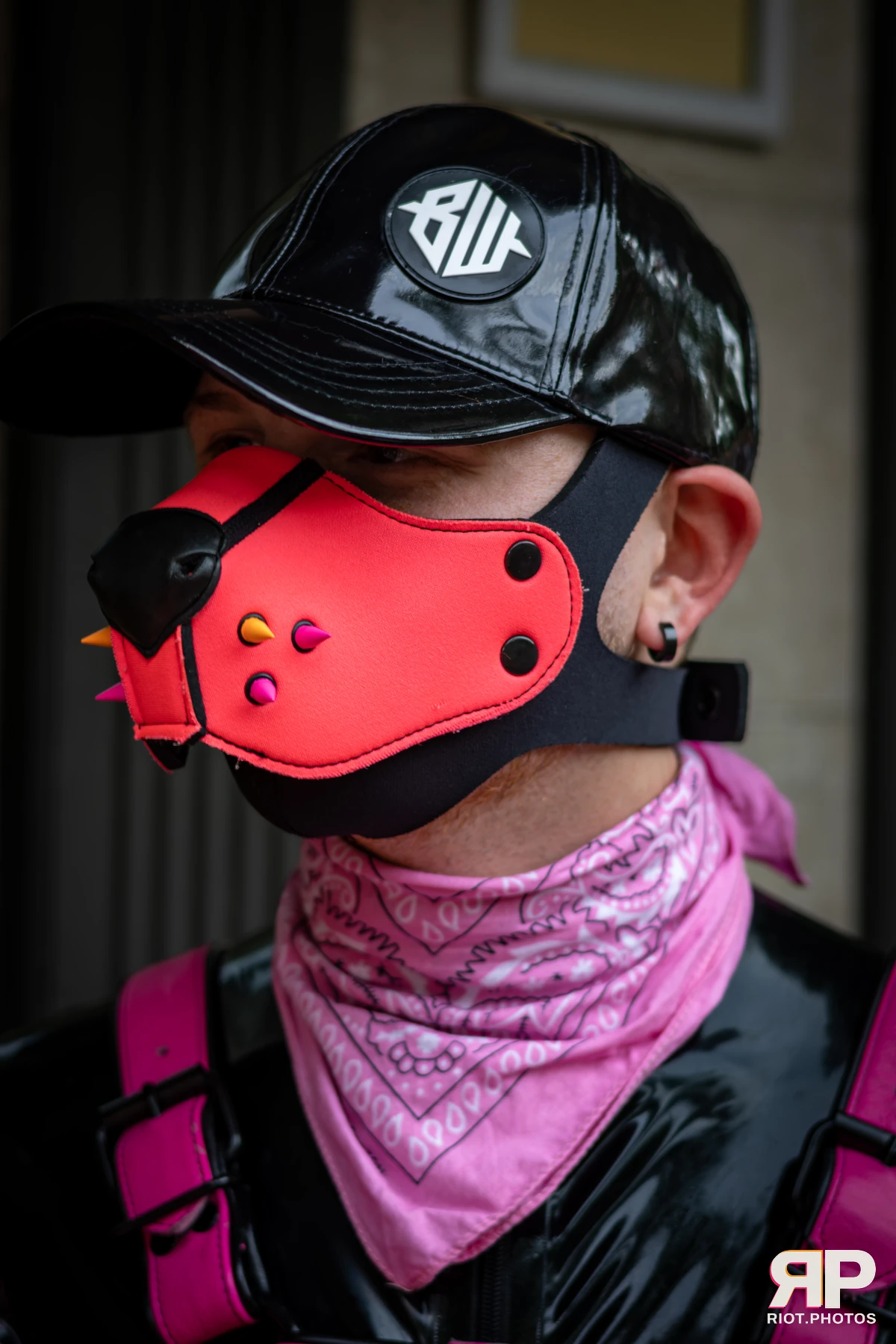 Pup Kaz — furry & pup photography by Fluffy Riot — photo 440