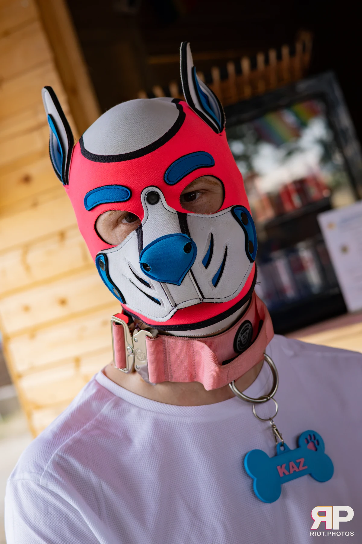 Pup Kaz — furry & pup photography by Fluffy Riot — photo 29