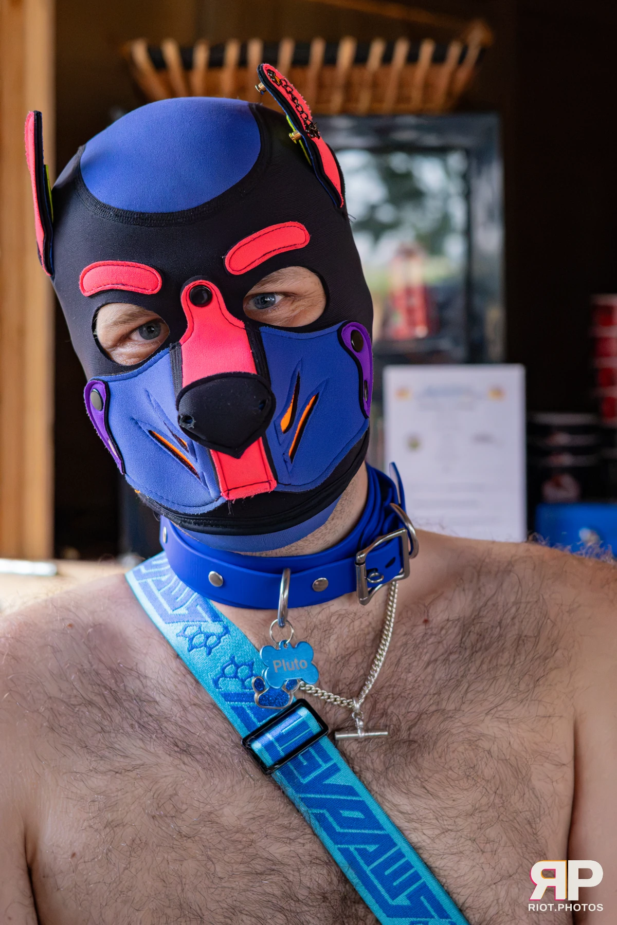Pup Pluto — furry & pup photography by Fluffy Riot — photo 4