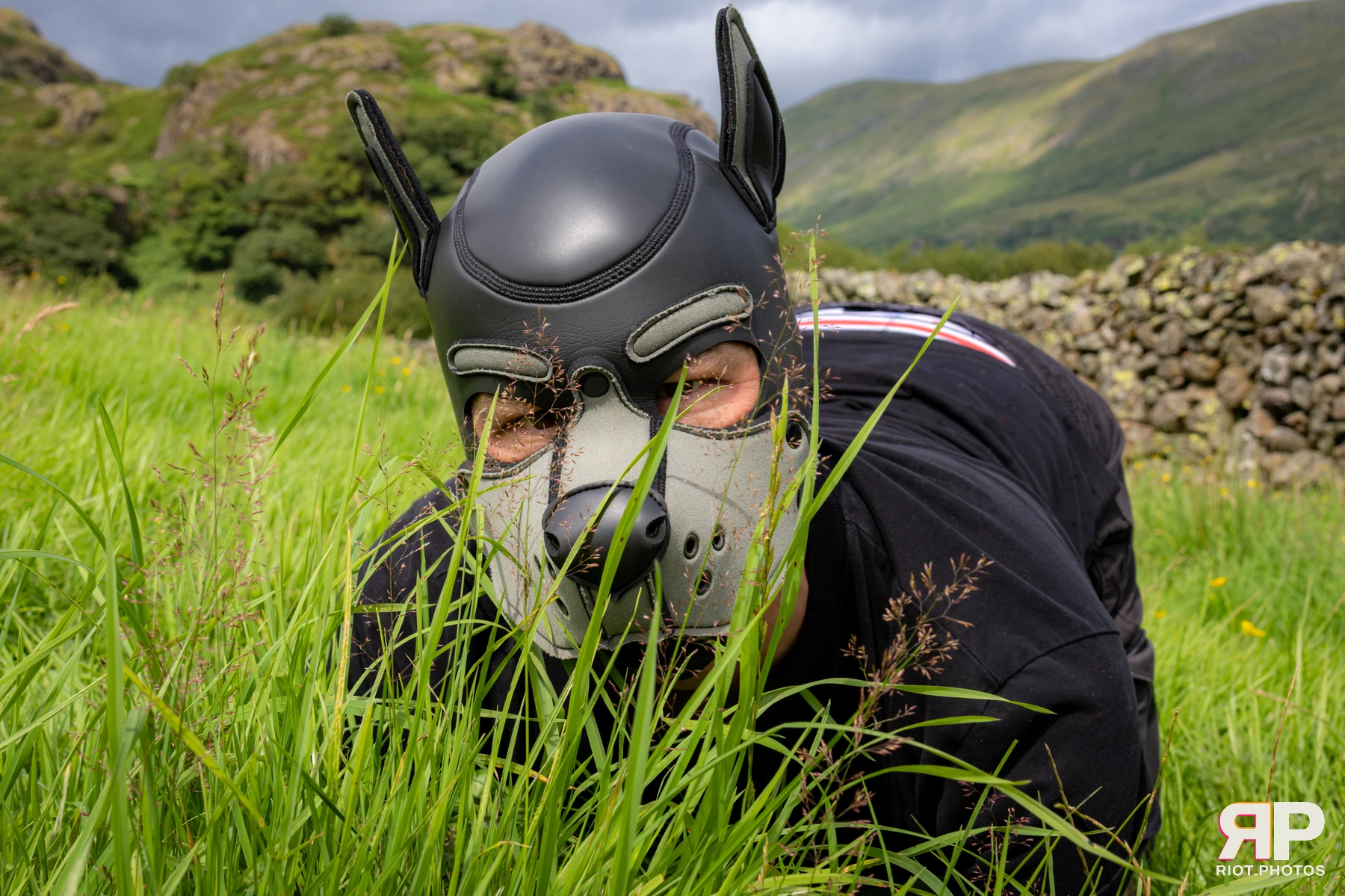 Pup Nathan — furry & pup photography by Fluffy Riot — photo 126