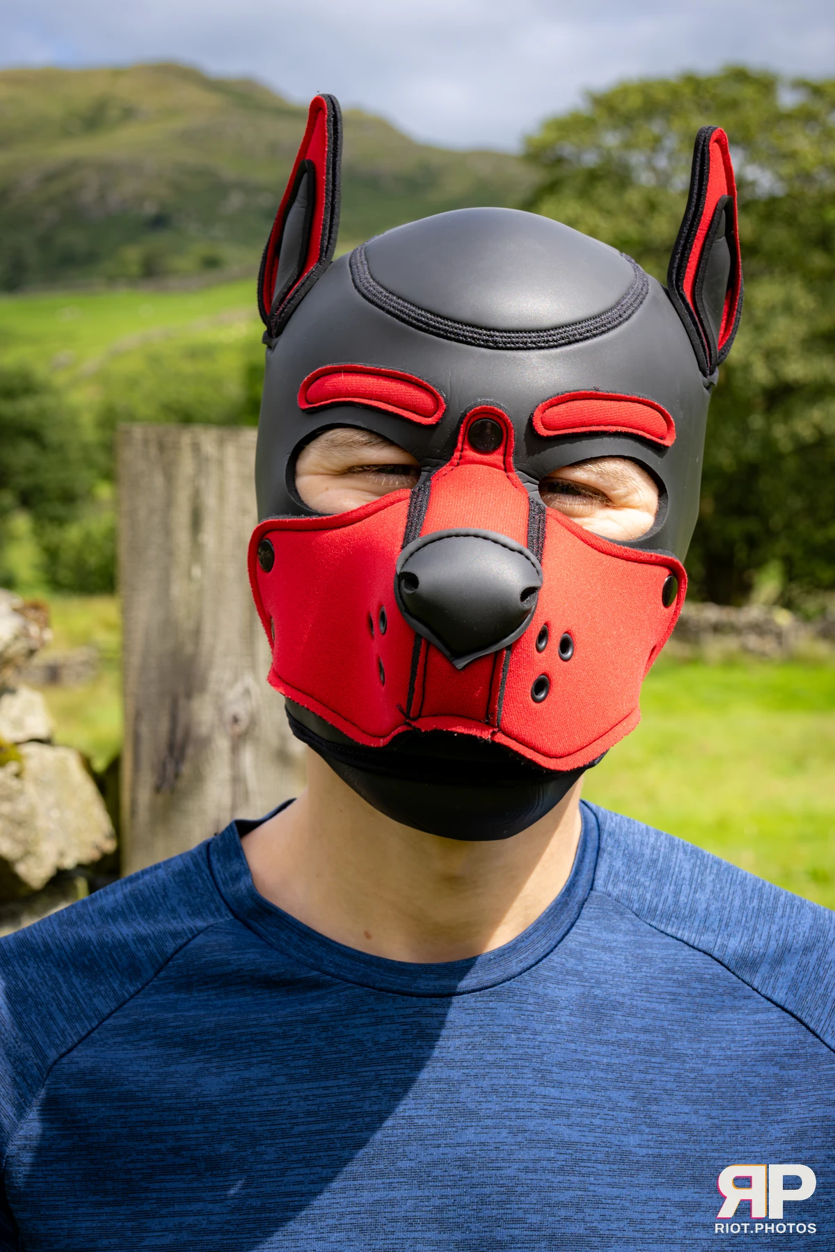 Pup Dande — furry & pup photography by Fluffy Riot — photo 60