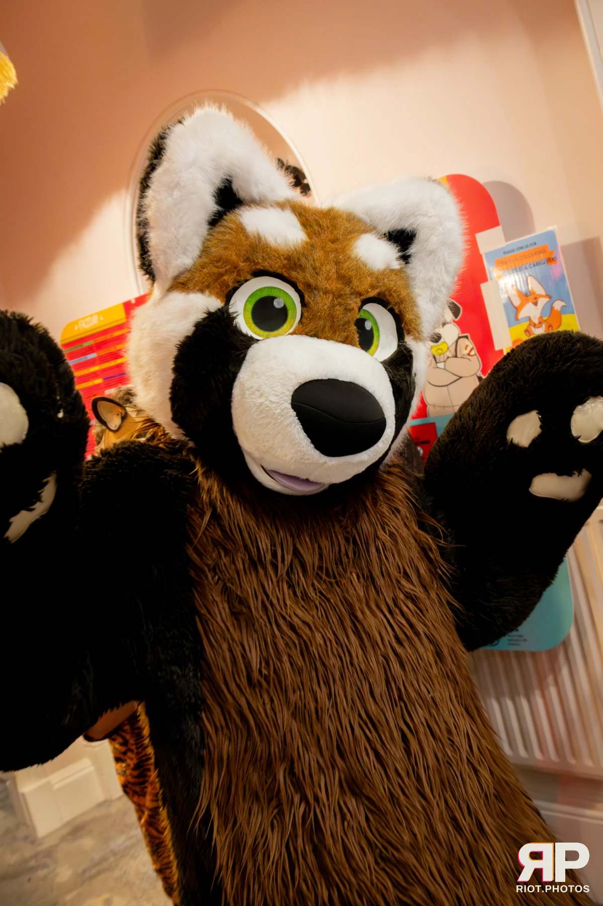 Pawsome 2025 — 19 Oct 2025, Fluffy Riot photography — photo 7