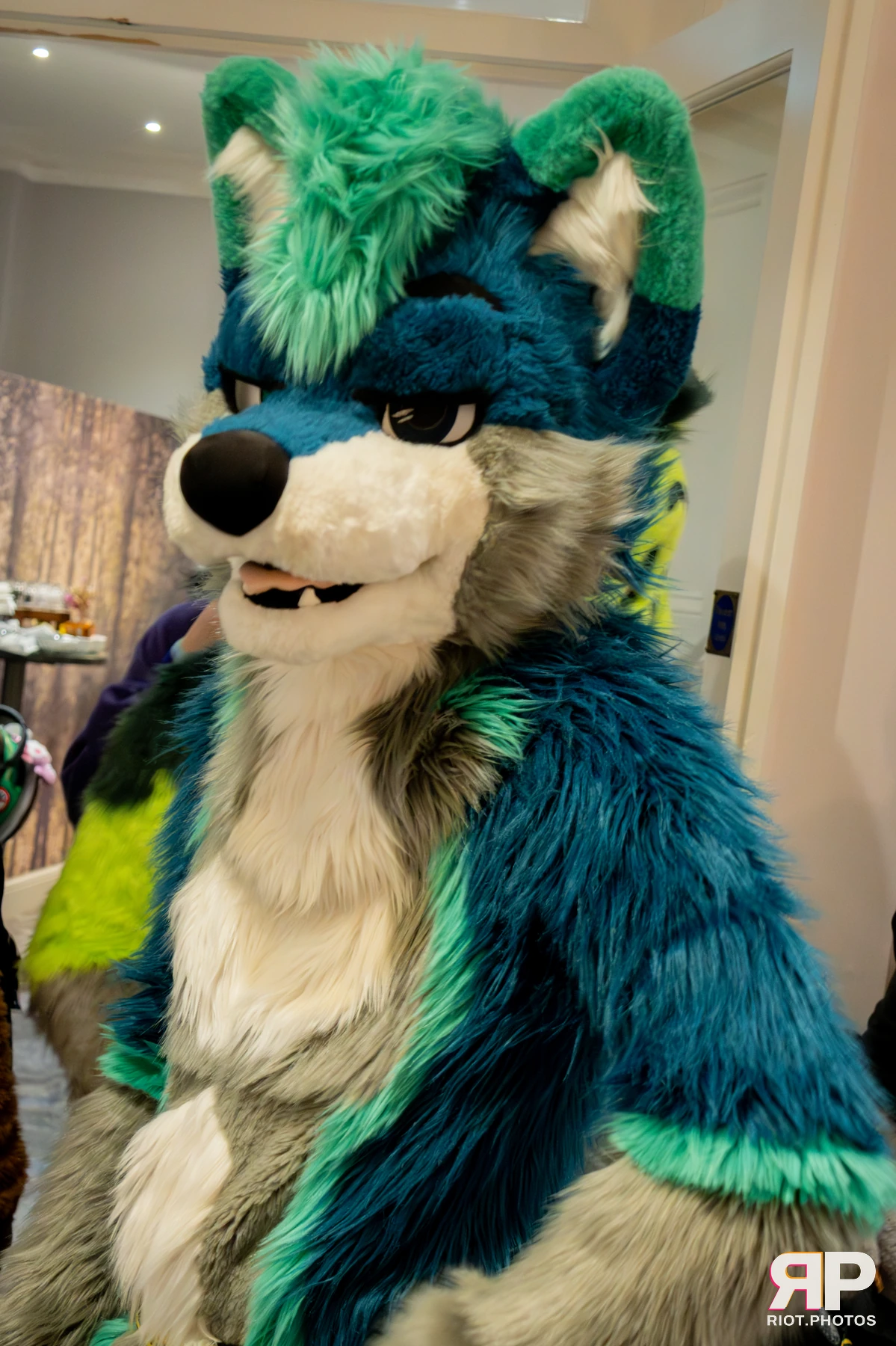 Pawsome 2025 — 19 Oct 2025, Fluffy Riot photography — photo 13