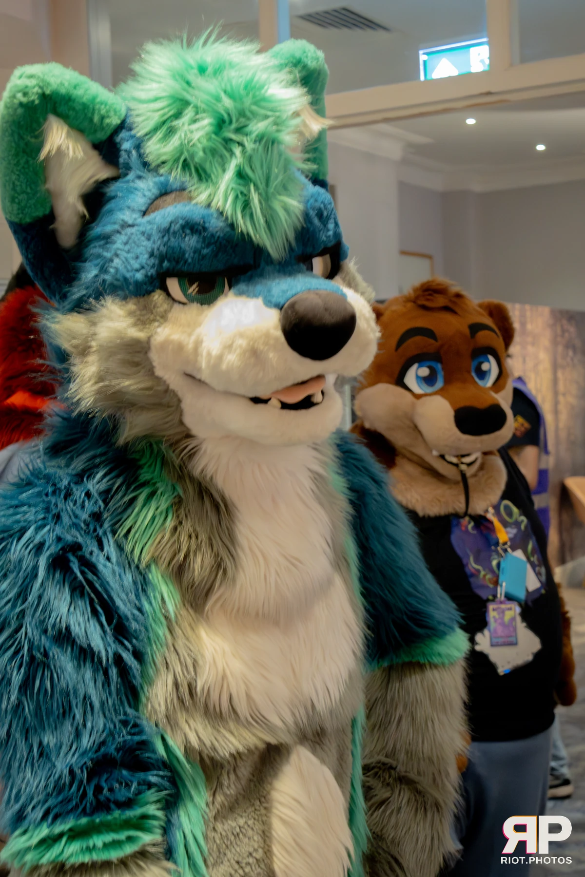 Pawsome 2025 — 19 Oct 2025, Fluffy Riot photography — photo 14