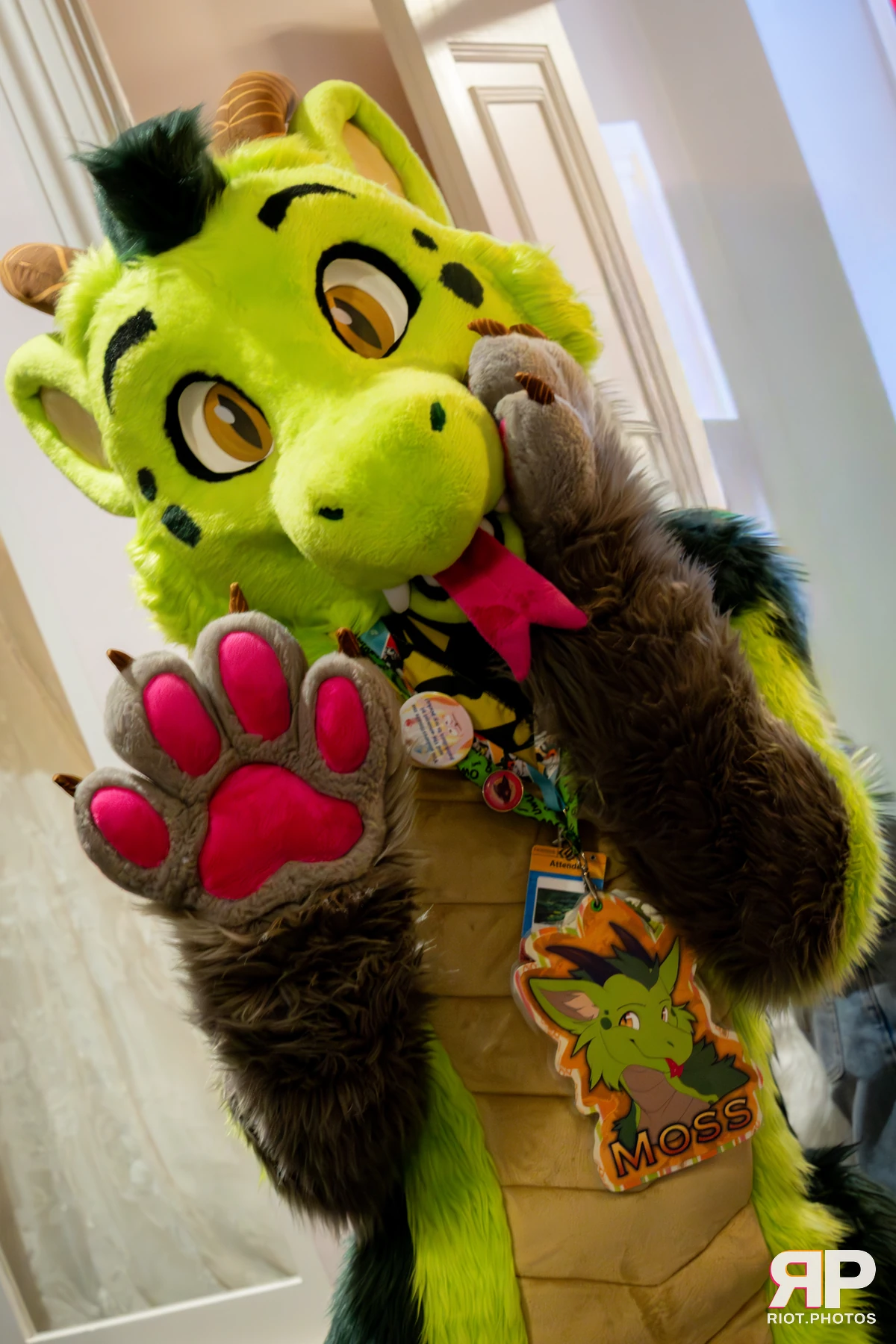 Pawsome 2025 — 19 Oct 2025, Fluffy Riot photography — photo 15