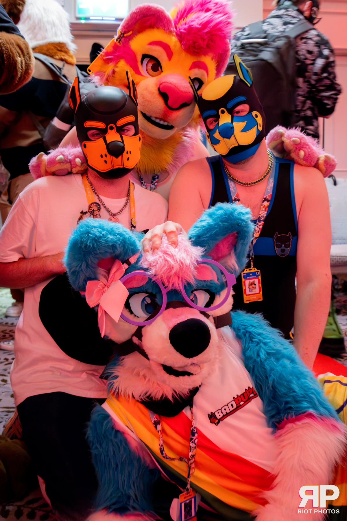 Grumpy / Starburst — furry & pup photography by Fluffy Riot — photo 23