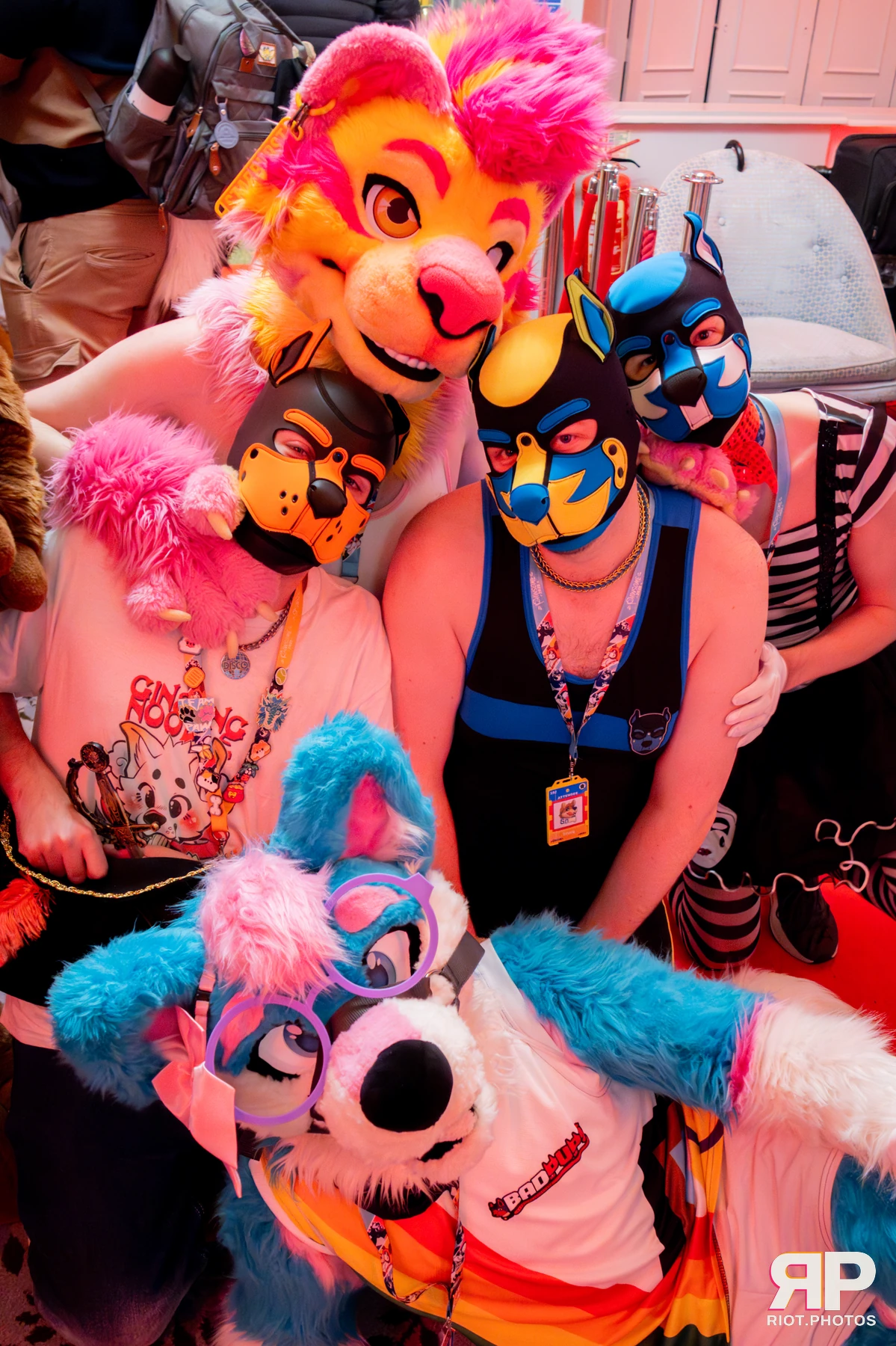 Grumpy / Starburst — furry & pup photography by Fluffy Riot — photo 24