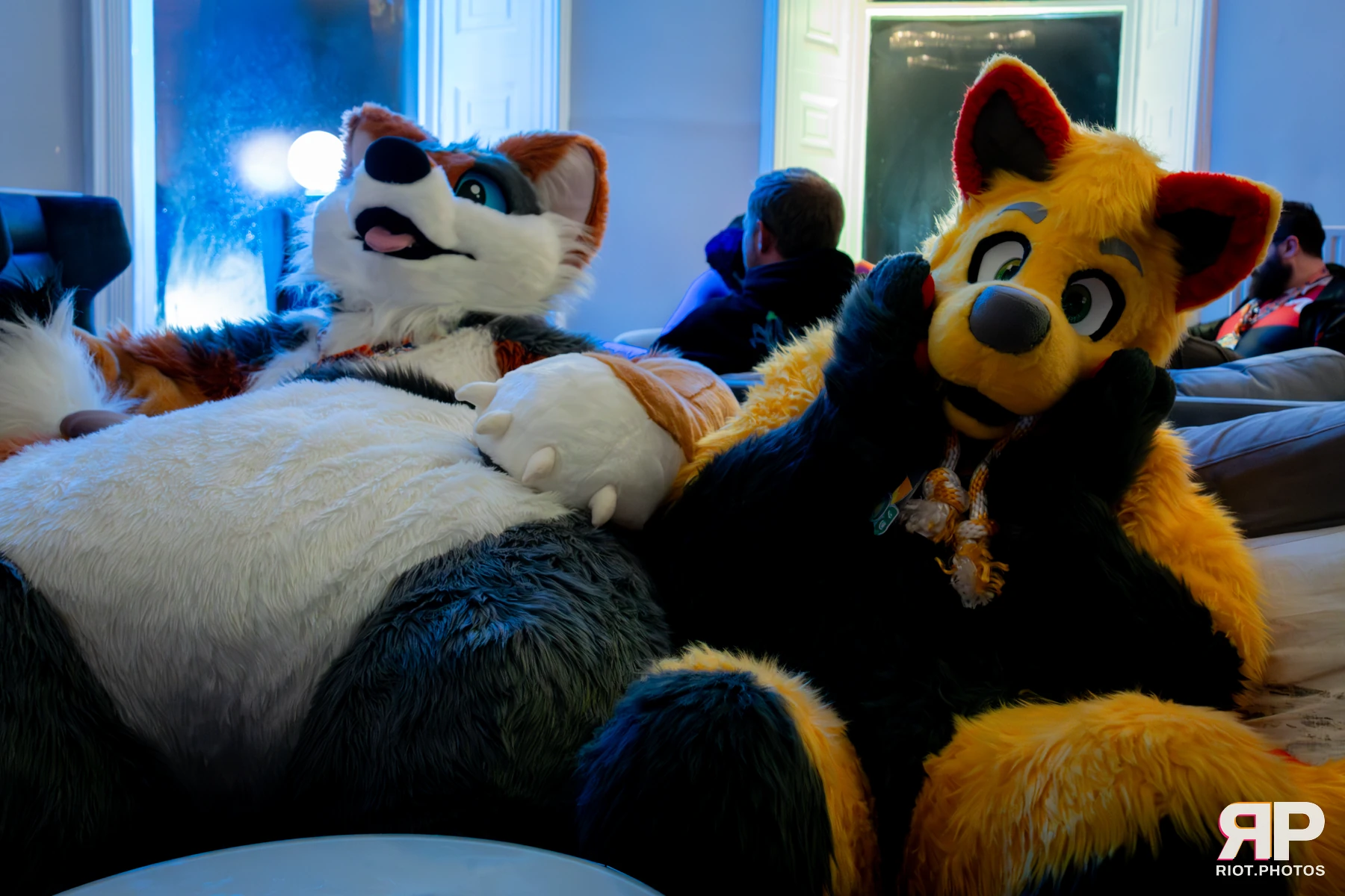 Pawsome 2025 — 19 Oct 2025, Fluffy Riot photography — photo 24