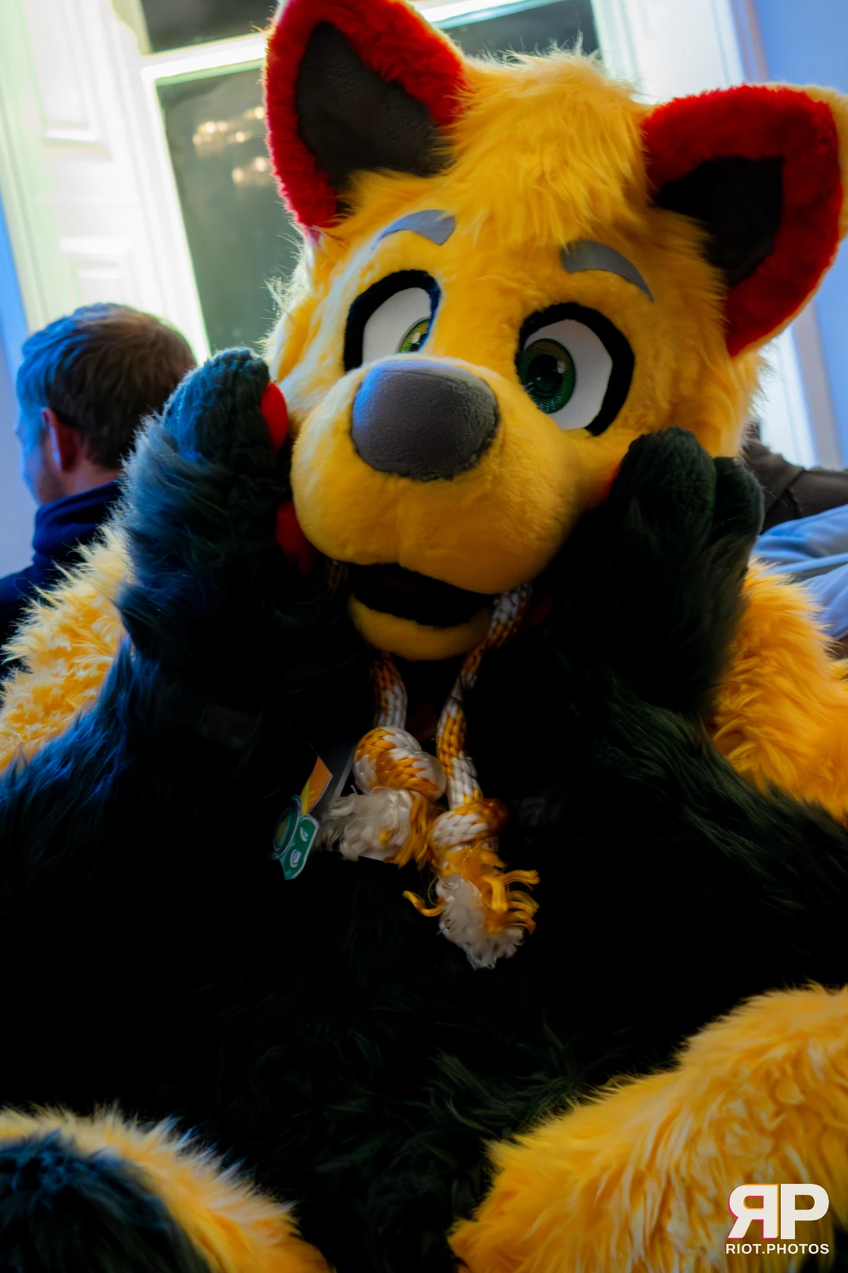 Pawsome 2025 — 19 Oct 2025, Fluffy Riot photography — photo 25