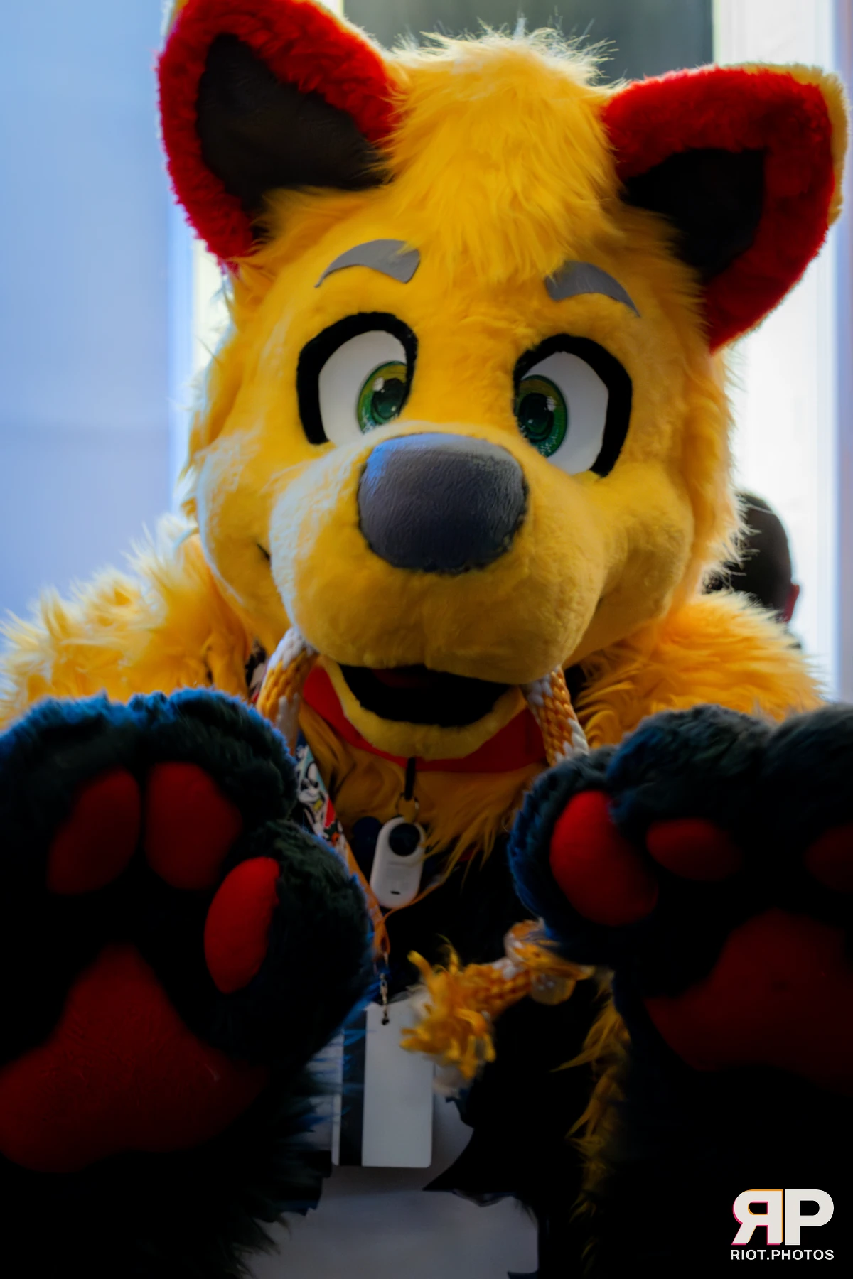 Pawsome 2025 — 19 Oct 2025, Fluffy Riot photography — photo 26