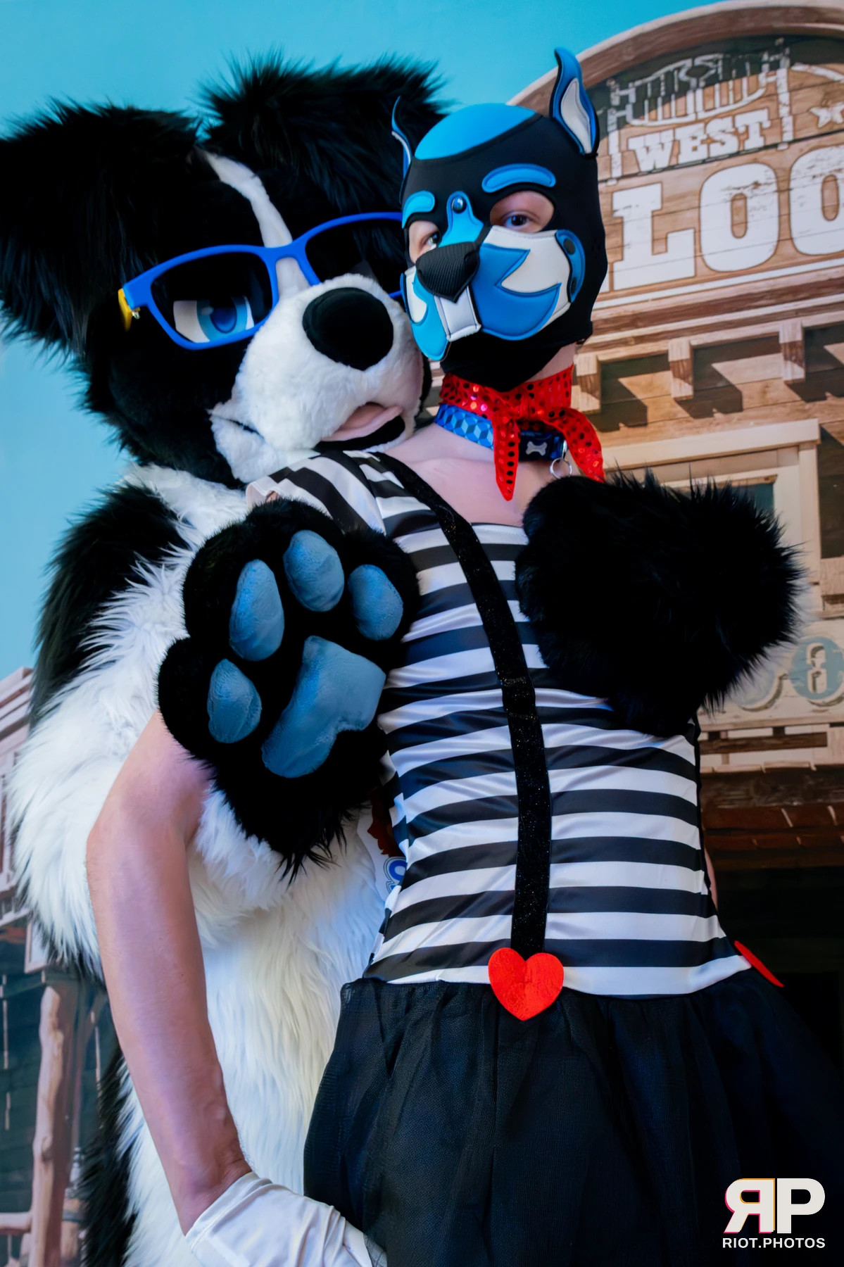 Pawsome 2025 — 19 Oct 2025, Fluffy Riot photography — photo 29