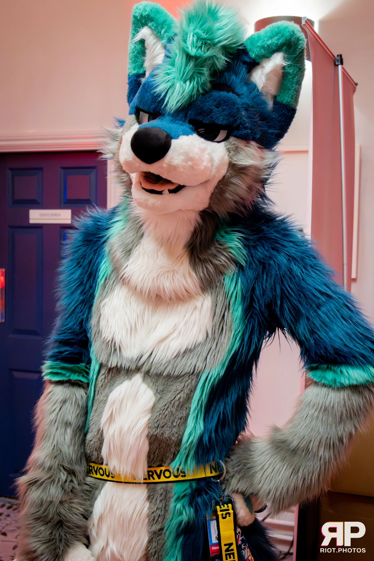 Pawsome 2025 — 19 Oct 2025, Fluffy Riot photography — photo 32