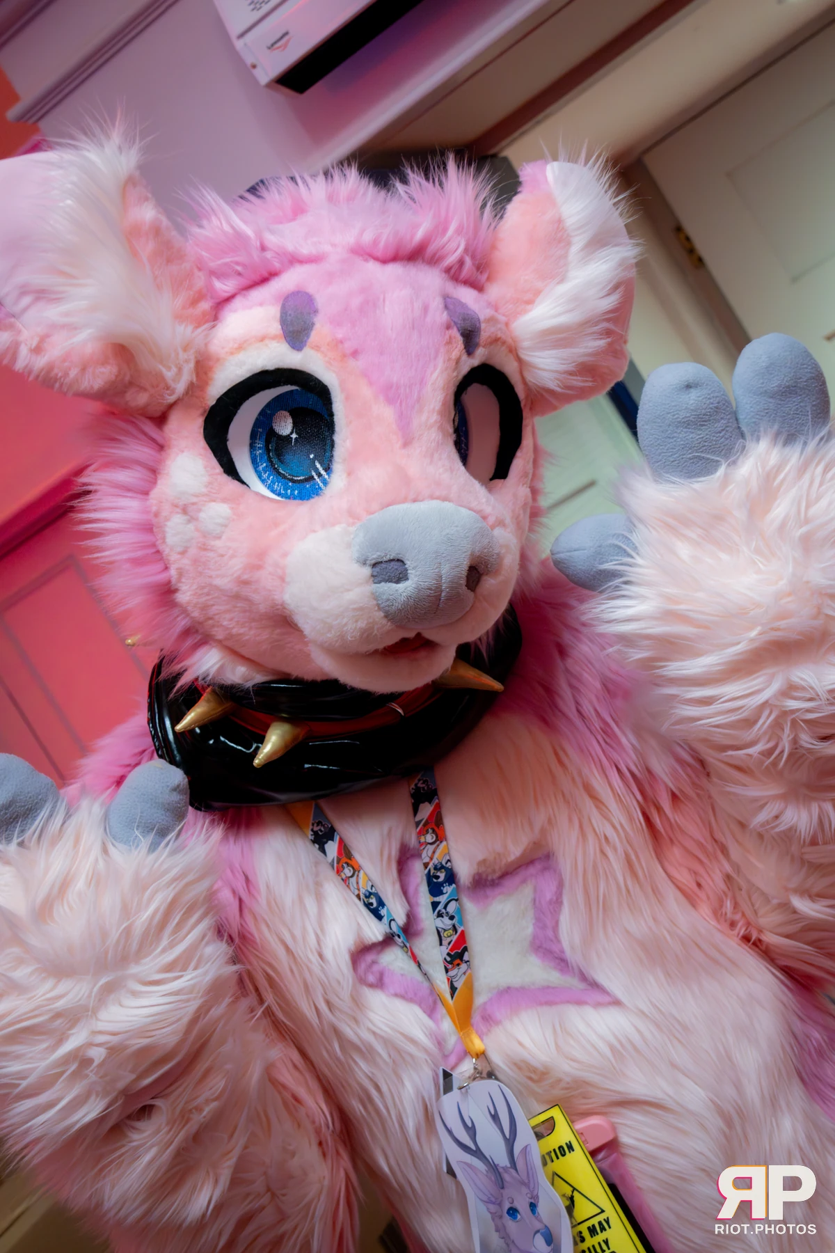 Pawsome 2025 — 19 Oct 2025, Fluffy Riot photography — photo 35