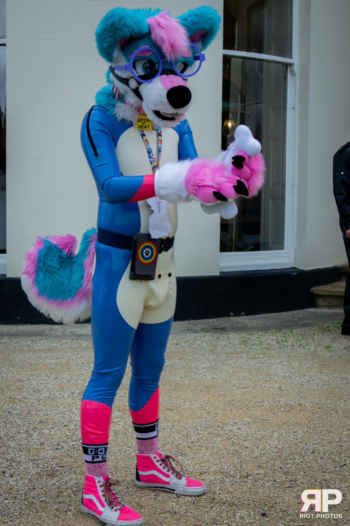 Pup Kaz — furry & pup photography by Fluffy Riot — photo 298
