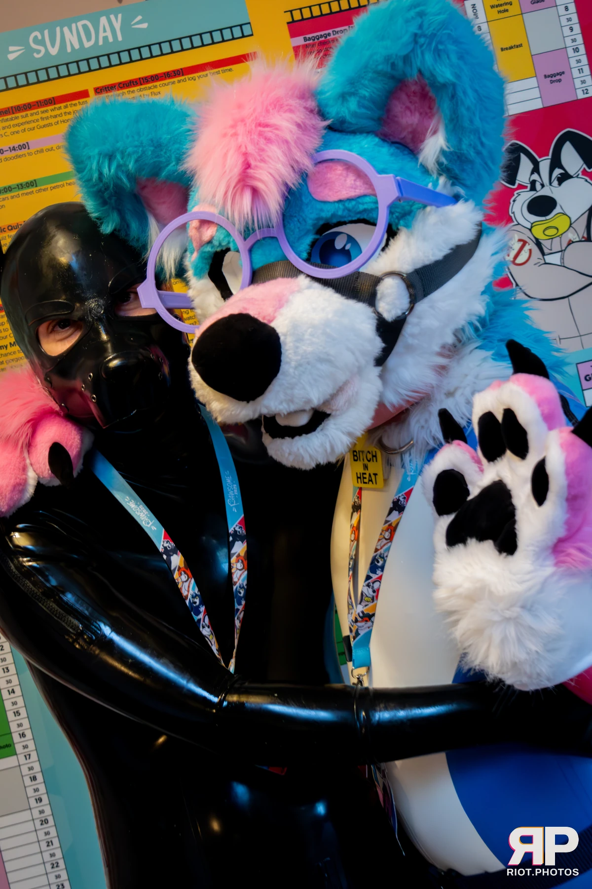 Pup Kaz — furry & pup photography by Fluffy Riot — photo 299