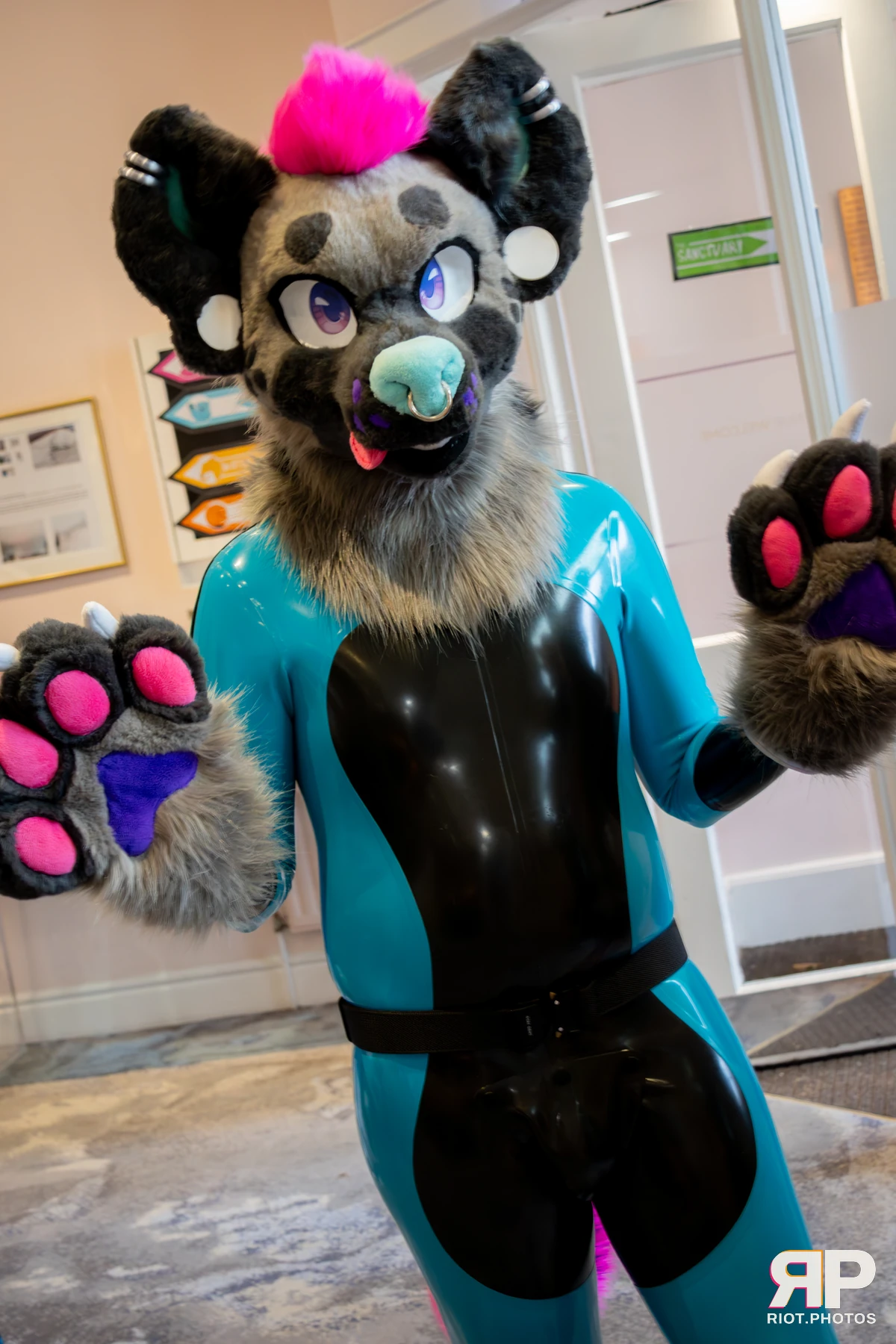 Pawsome 2025 — 19 Oct 2025, Fluffy Riot photography — photo 55
