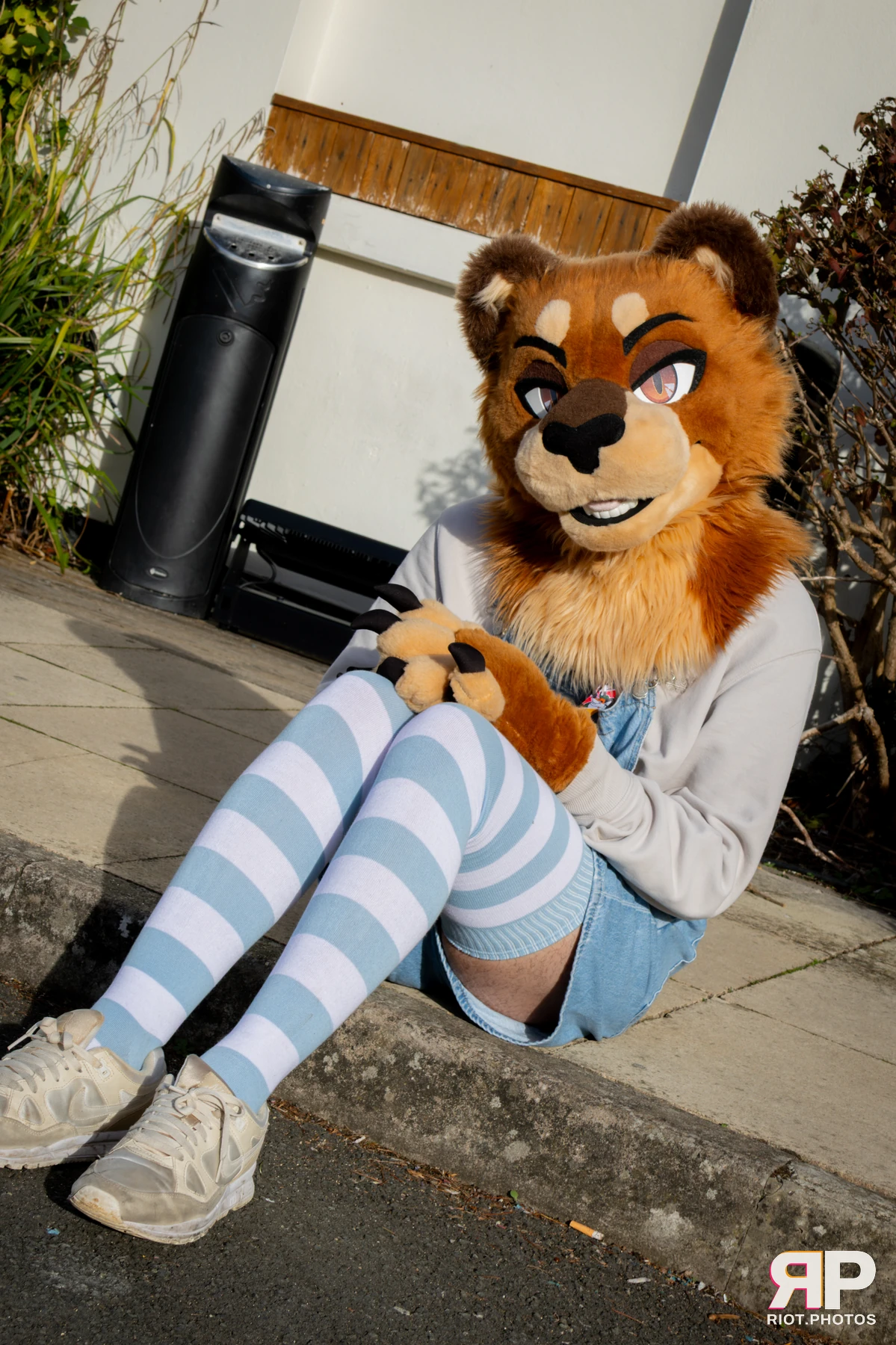Pawsome 2025 — 19 Oct 2025, Fluffy Riot photography — photo 59