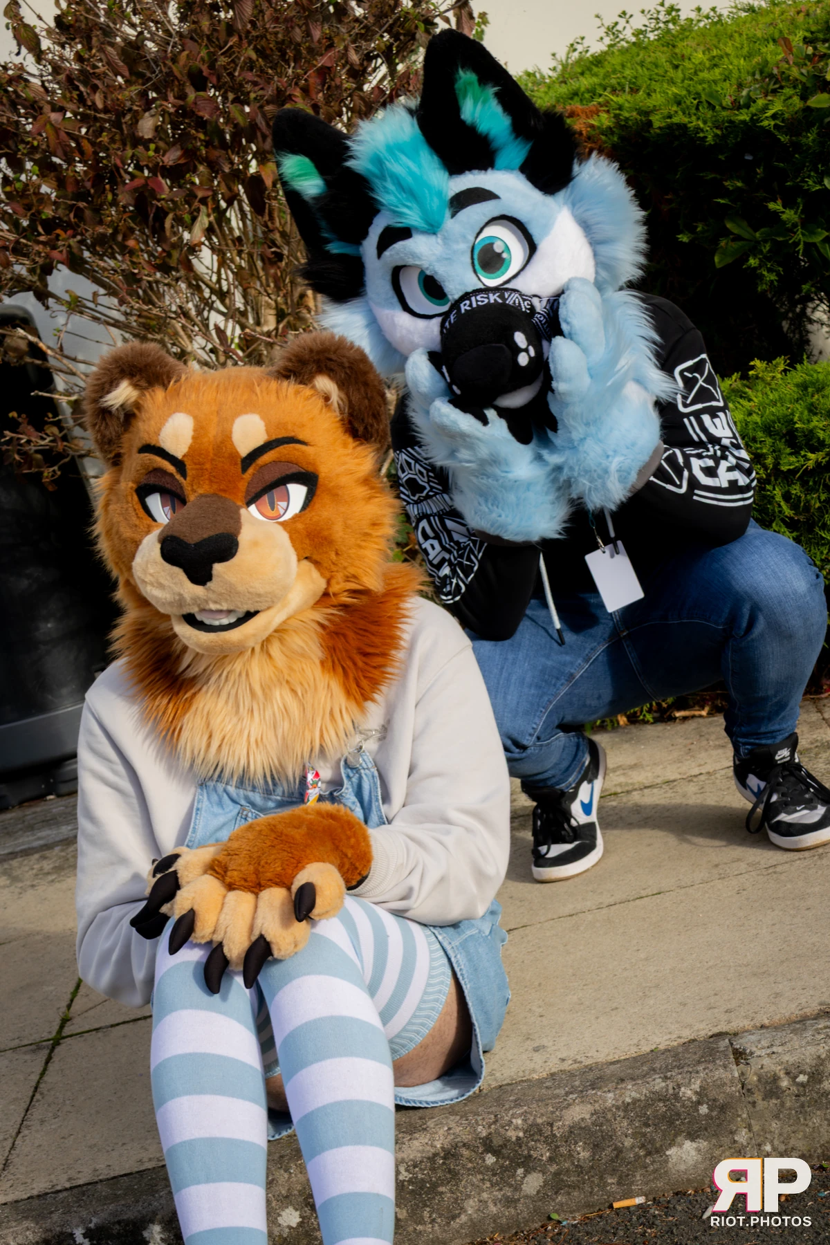 Pawsome 2025 — 19 Oct 2025, Fluffy Riot photography — photo 60