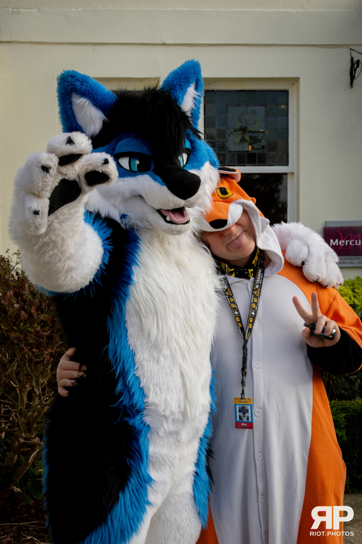 Pawsome 2025 — 19 Oct 2025, Fluffy Riot photography — photo 64