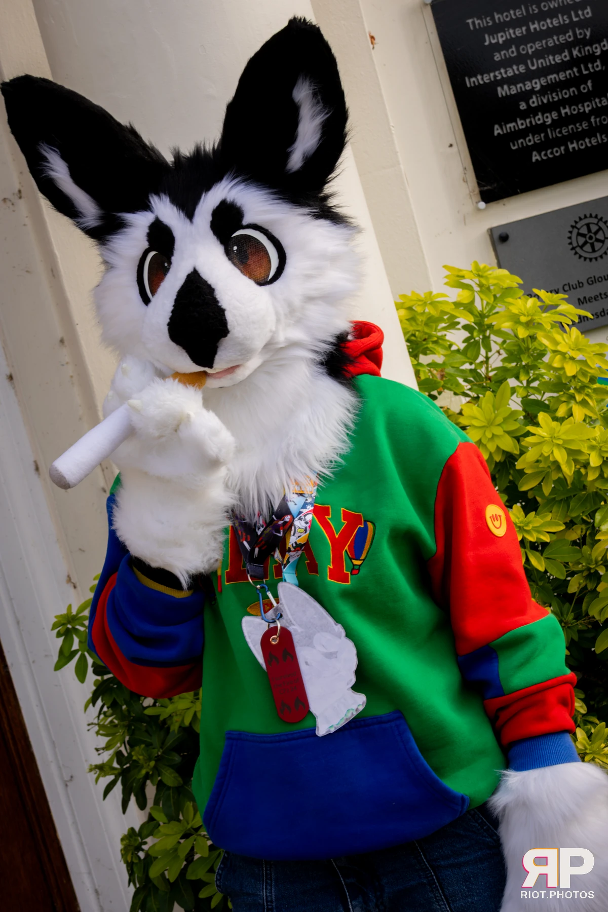 Pawsome 2025 — 19 Oct 2025, Fluffy Riot photography — photo 65