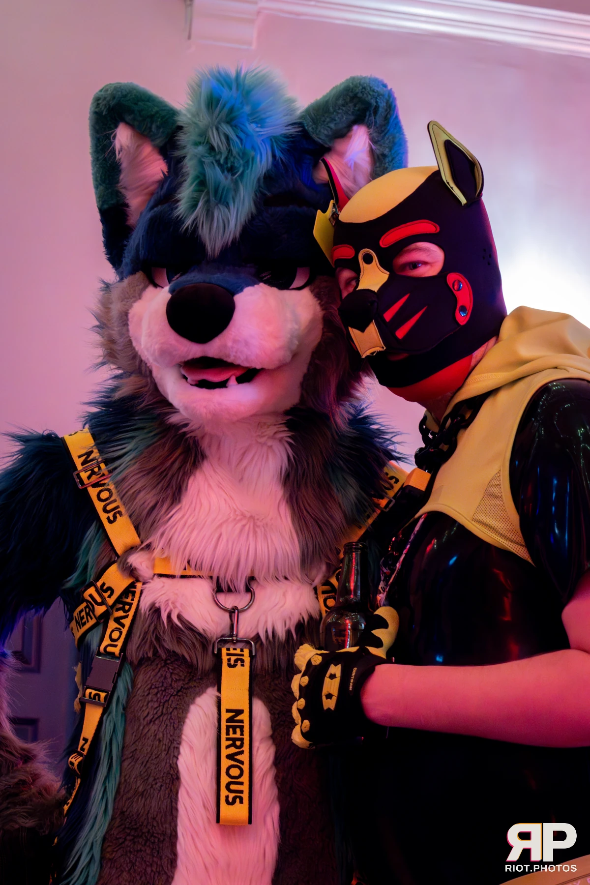 Grumpy / Starburst — furry & pup photography by Fluffy Riot — photo 27