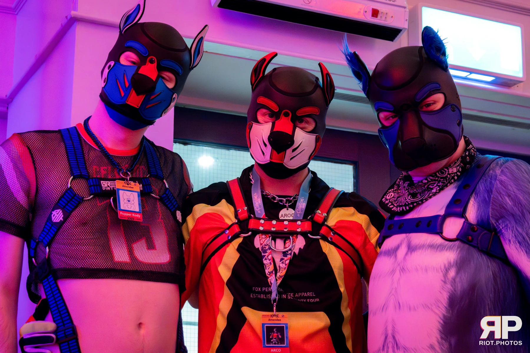 Pawsome 2025 — 19 Oct 2025, Fluffy Riot photography — photo 71