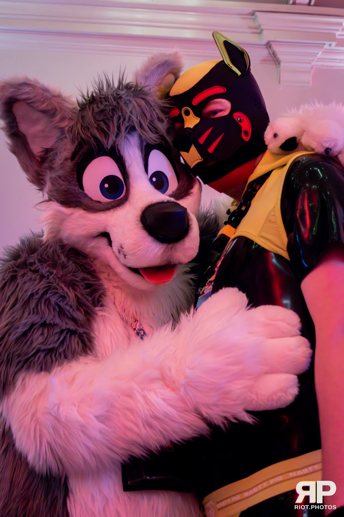 Grumpy / Starburst — furry & pup photography by Fluffy Riot — photo 28
