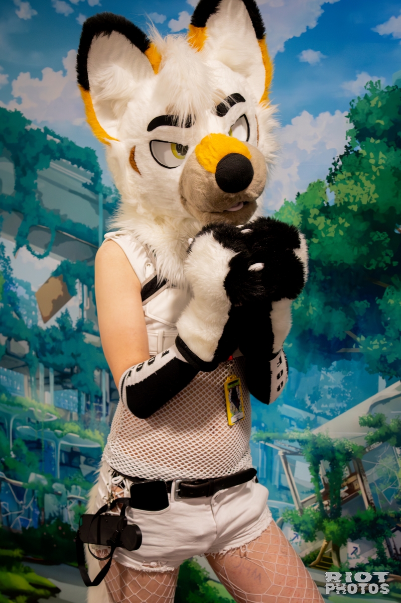2025-10-06 Pawsome-202510-074.jpg