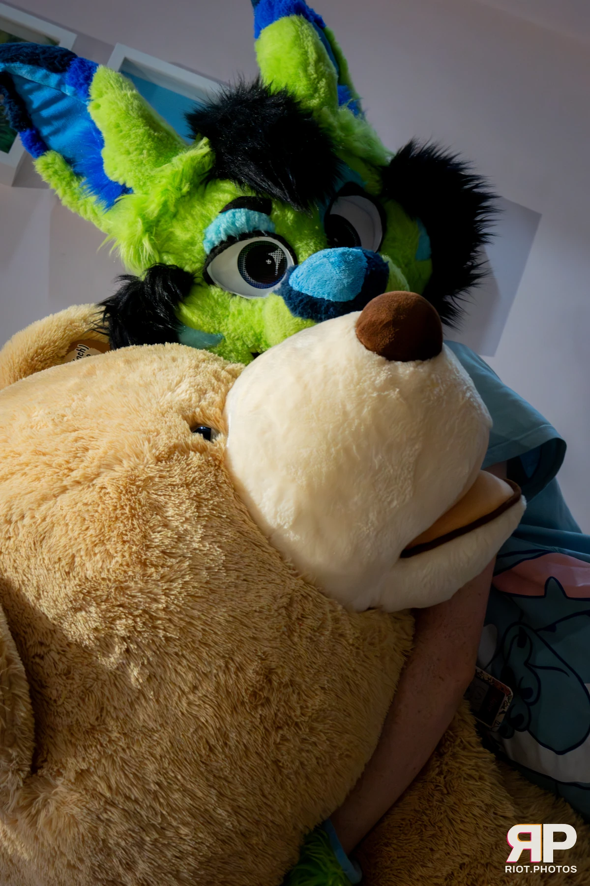 Pawsome 2025 — 19 Oct 2025, Fluffy Riot photography — photo 78