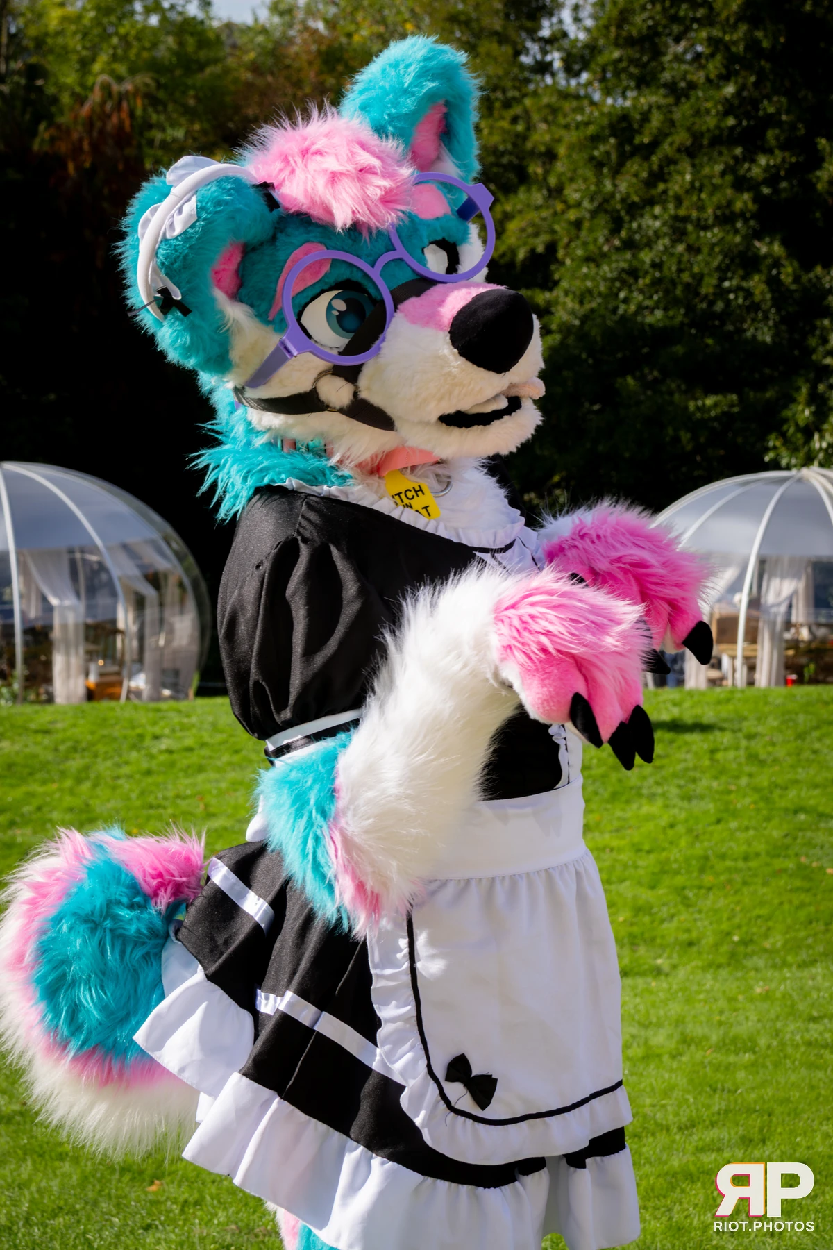 Pup Kaz — furry & pup photography by Fluffy Riot — photo 305