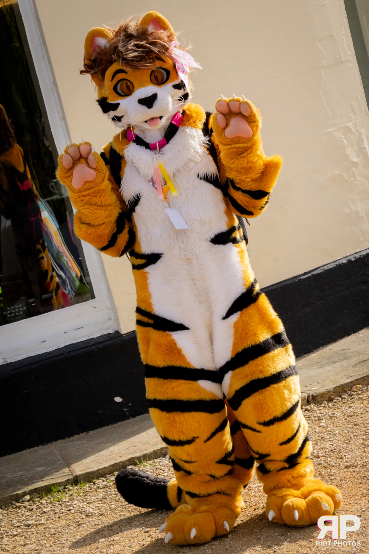Pawsome 2025 — 19 Oct 2025, Fluffy Riot photography — photo 85