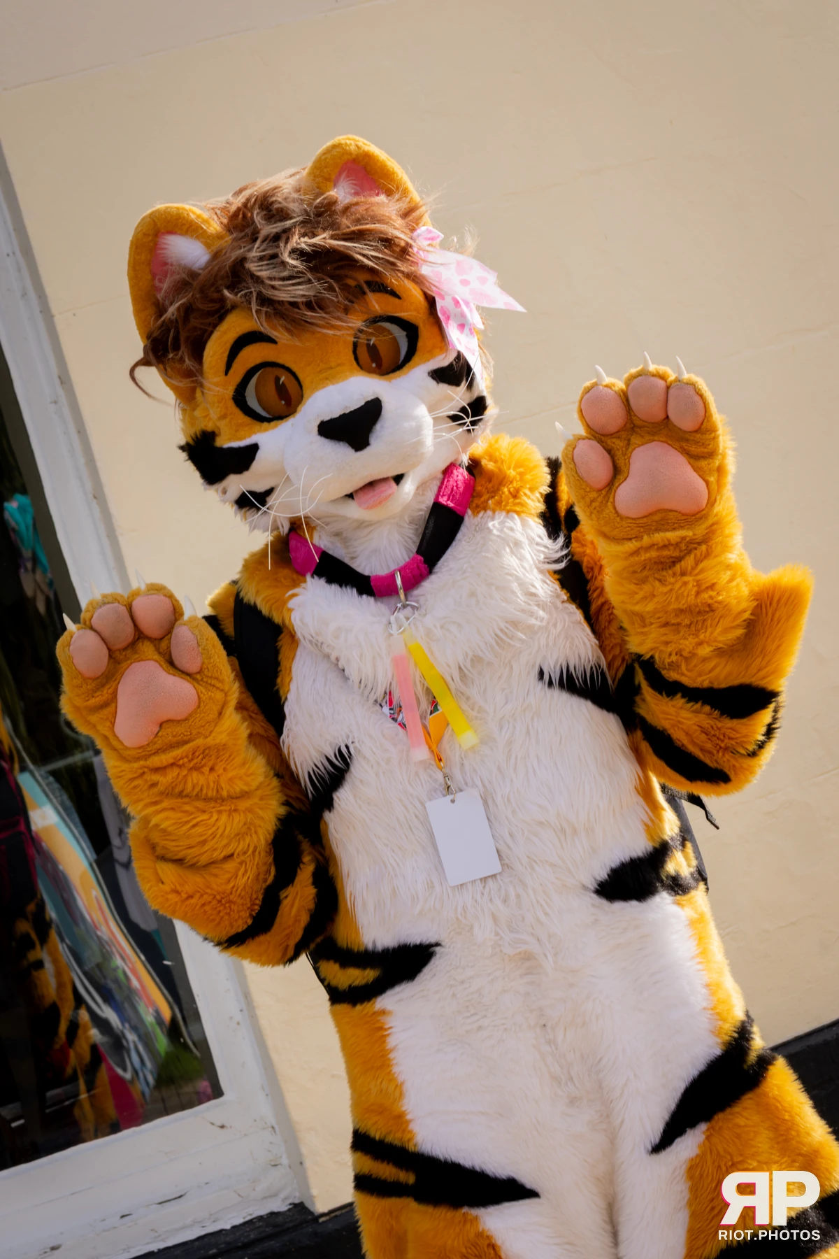 Pawsome 2025 — 19 Oct 2025, Fluffy Riot photography — photo 86