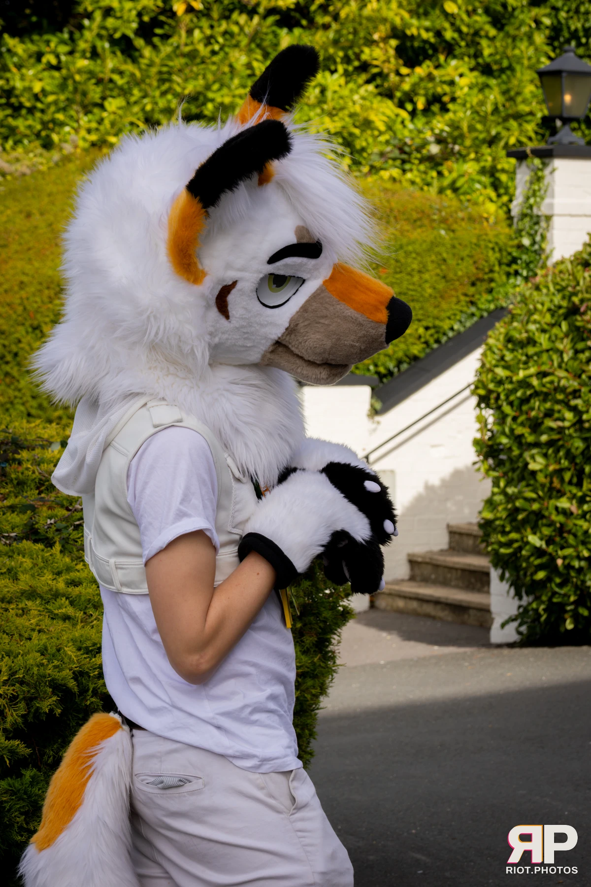 Pawsome 2025 — 19 Oct 2025, Fluffy Riot photography — photo 88