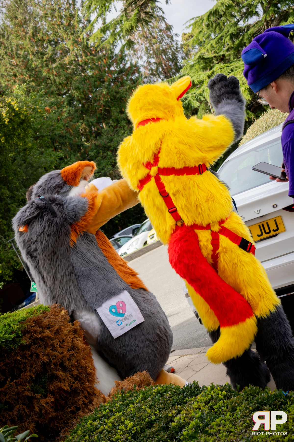 Pawsome 2025 — 19 Oct 2025, Fluffy Riot photography — photo 89