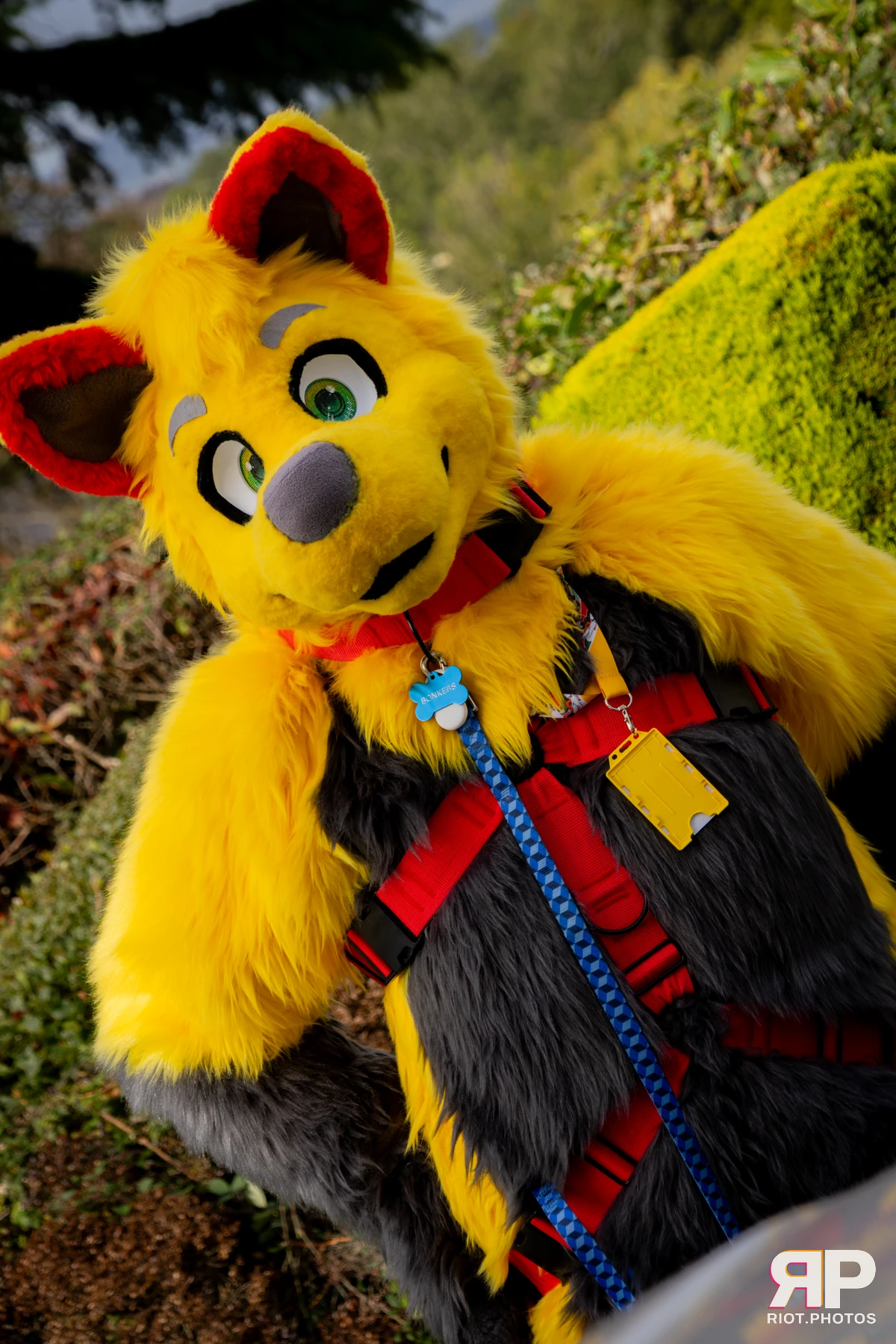 Pawsome 2025 — 19 Oct 2025, Fluffy Riot photography — photo 90