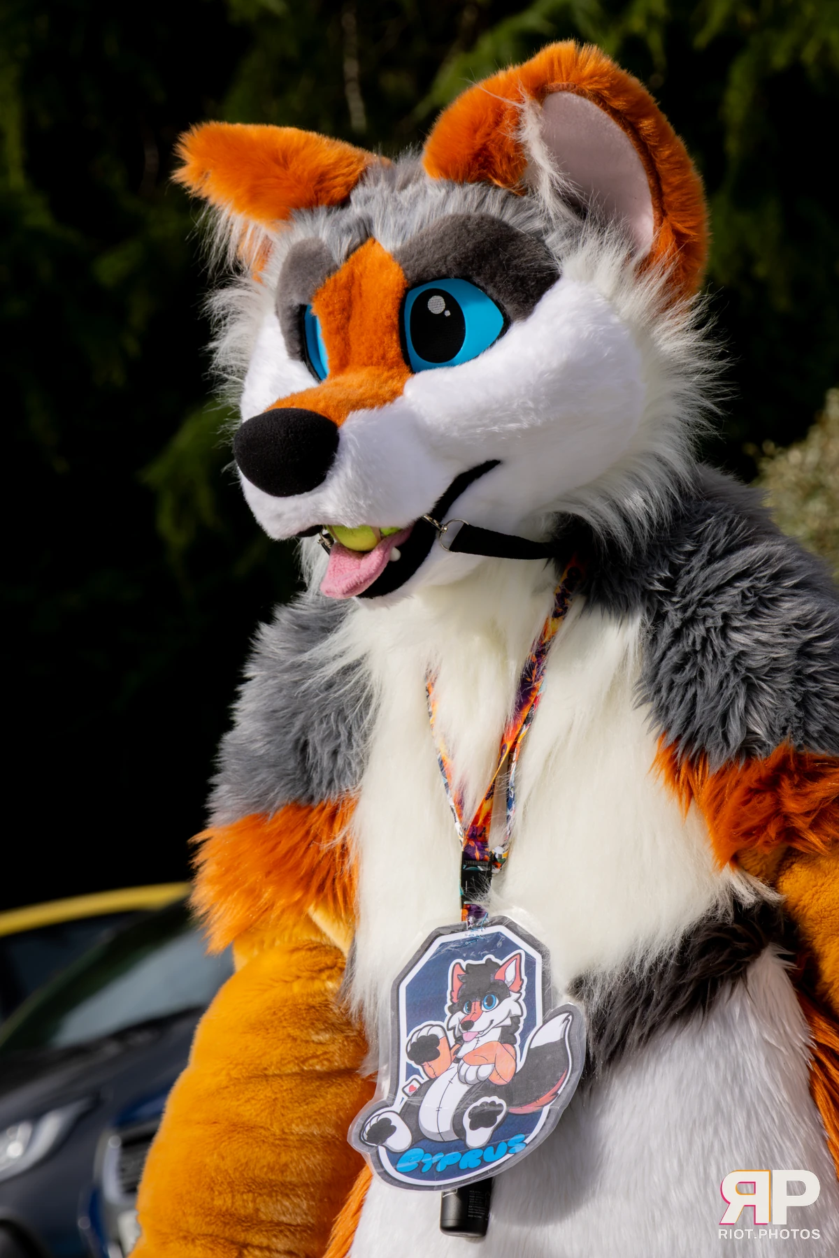 Pawsome 2025 — 19 Oct 2025, Fluffy Riot photography — photo 91
