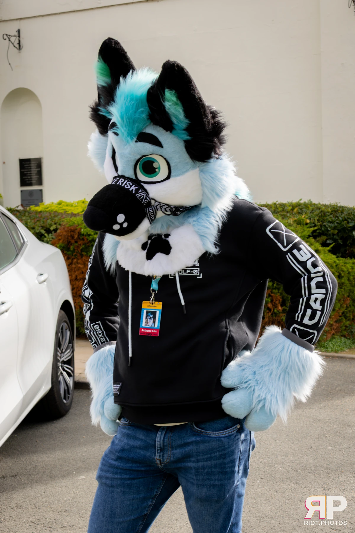 Pawsome 2025 — 19 Oct 2025, Fluffy Riot photography — photo 93