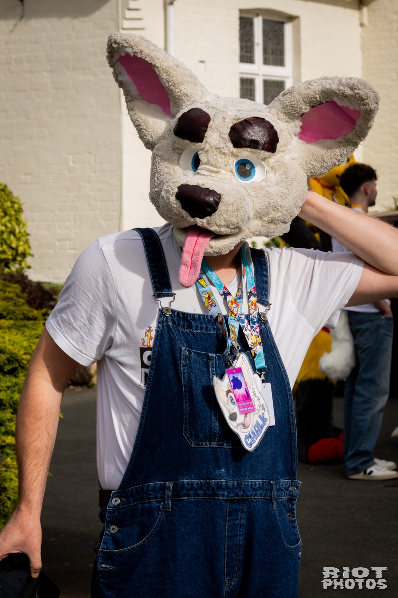 2025-10-06 Pawsome-202510-096.jpg