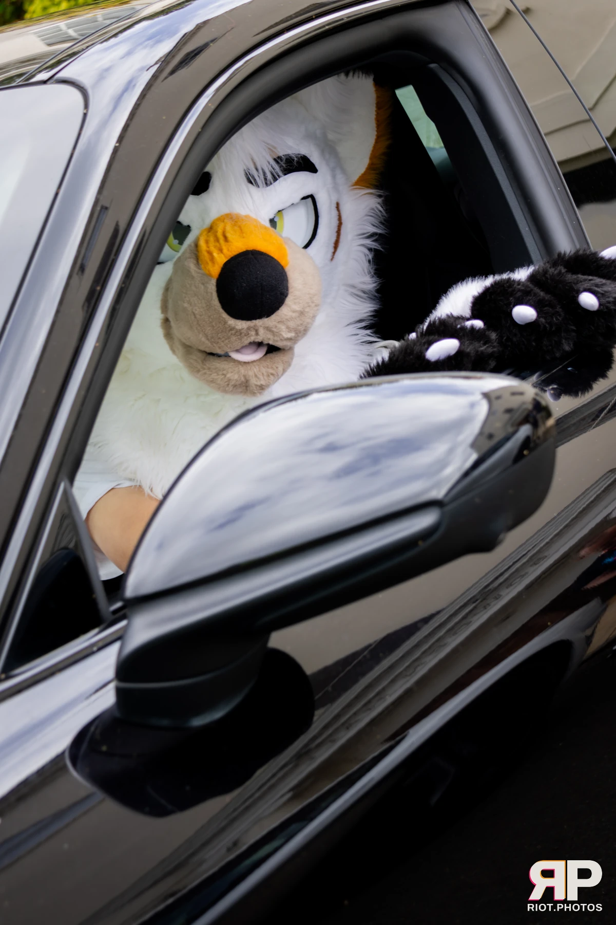 Pawsome 2025 — 19 Oct 2025, Fluffy Riot photography — photo 97