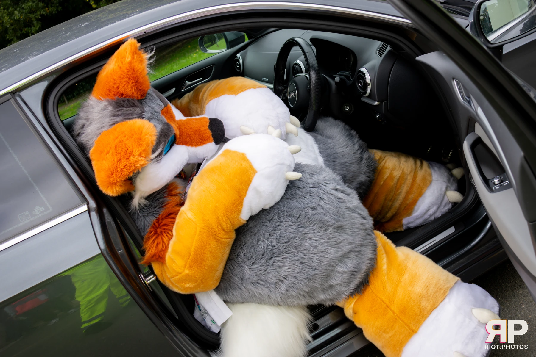 Pawsome 2025 — 19 Oct 2025, Fluffy Riot photography — photo 98