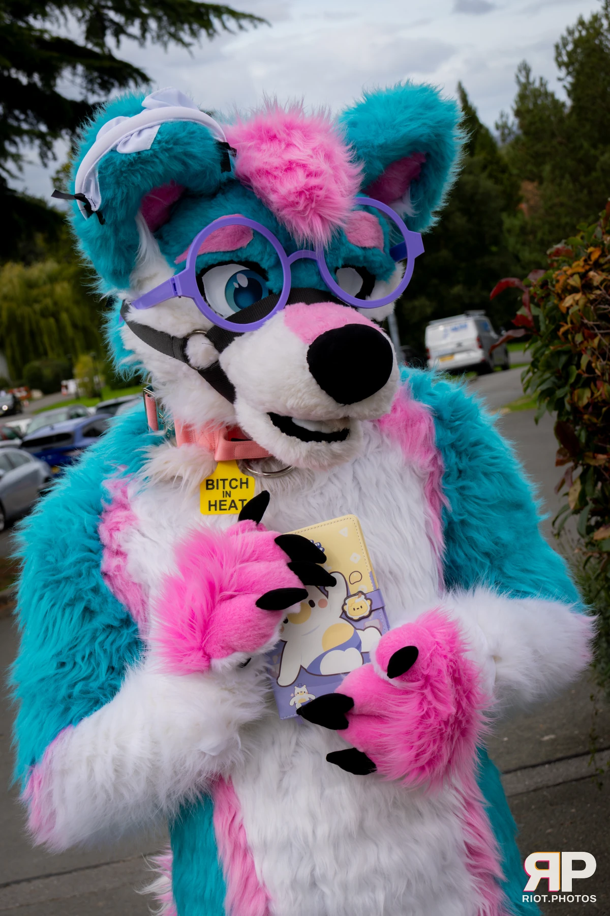 Pup Kaz — furry & pup photography by Fluffy Riot — photo 308