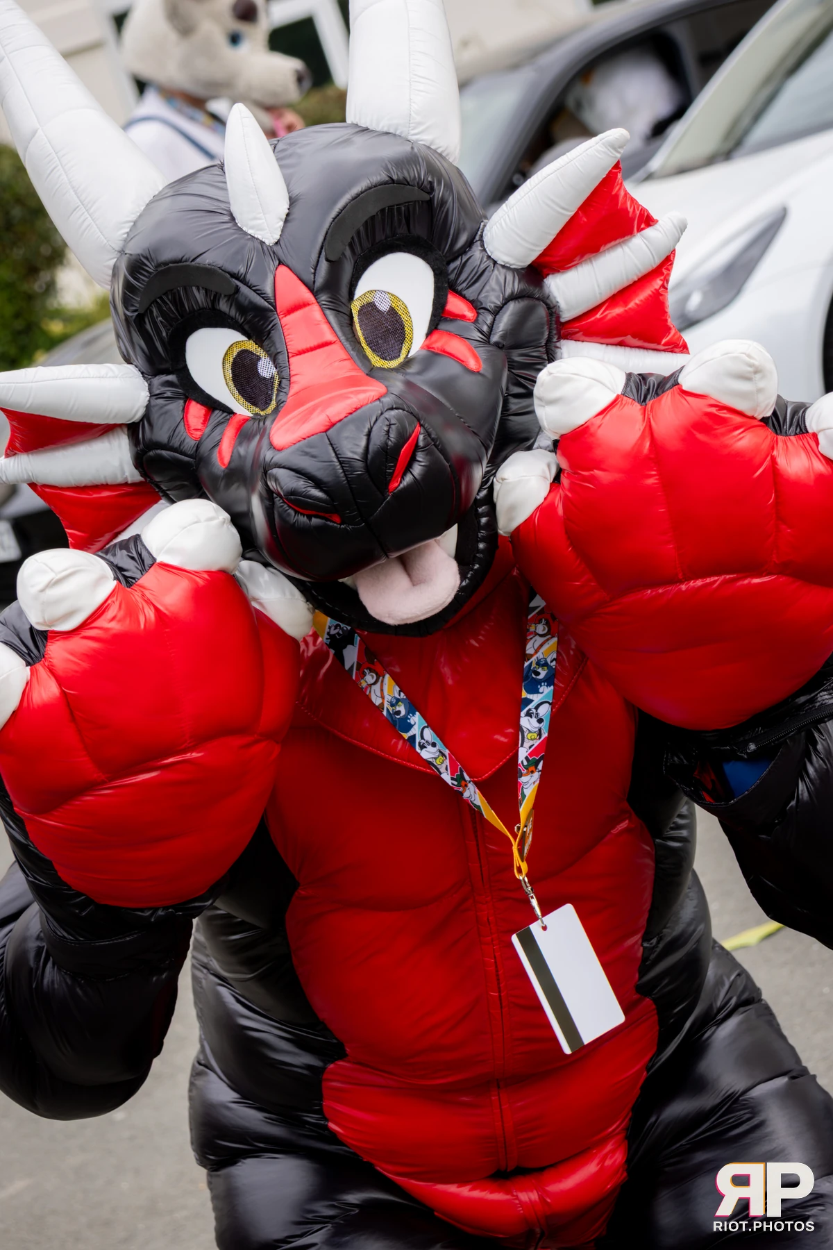Pawsome 2025 — 19 Oct 2025, Fluffy Riot photography — photo 100