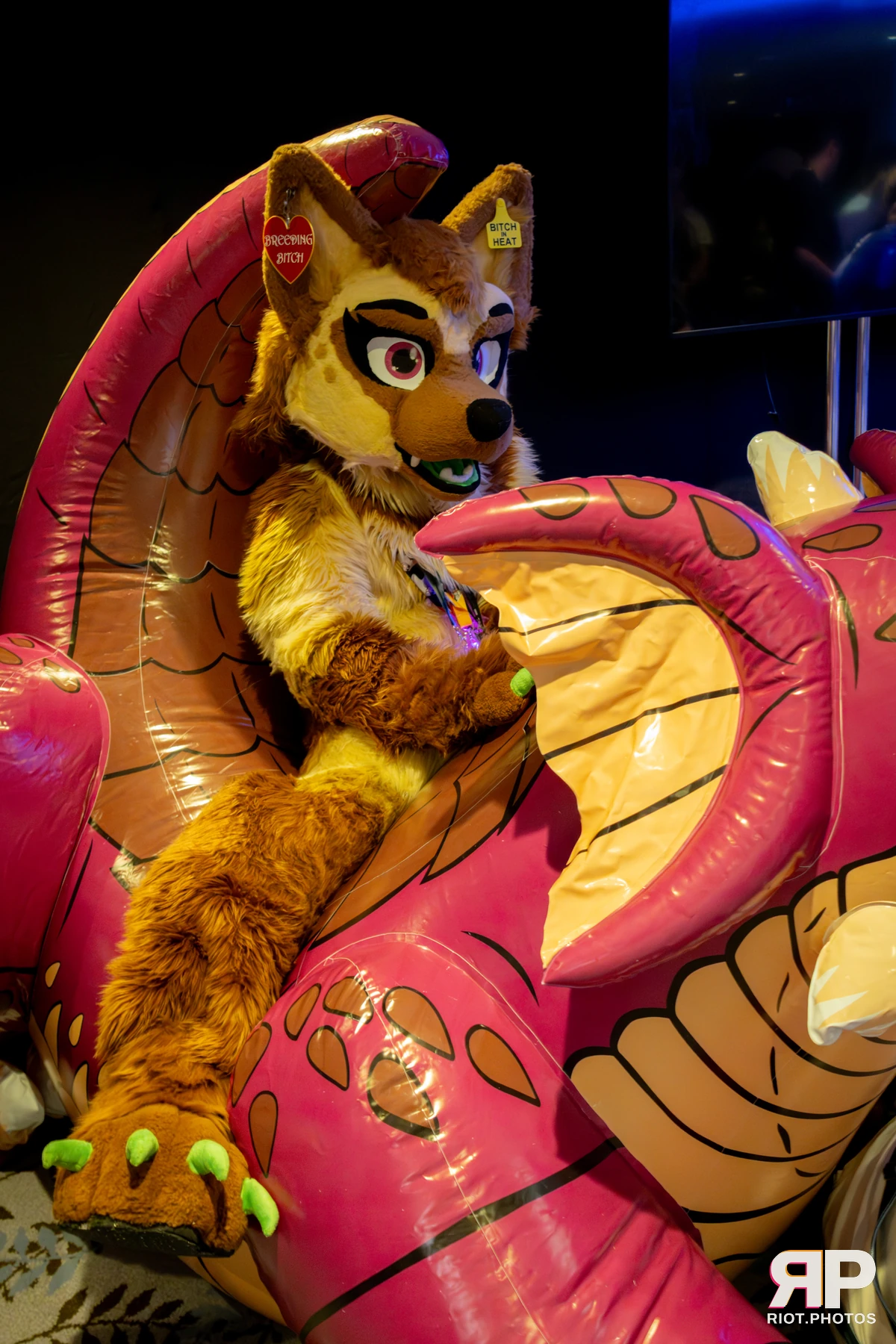 Pawsome 2025 — 19 Oct 2025, Fluffy Riot photography — photo 106