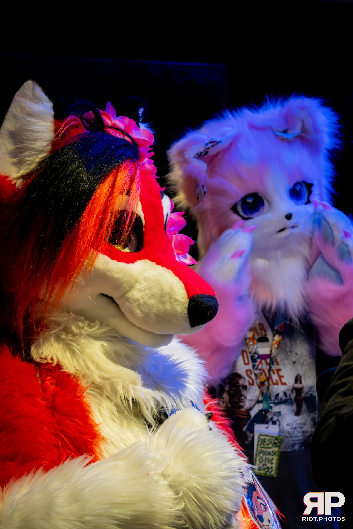 Pawsome 2025 — 19 Oct 2025, Fluffy Riot photography — photo 108