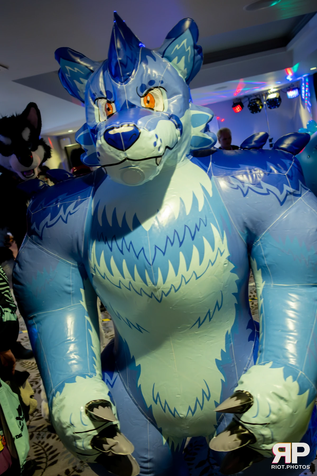 Pawsome 2025 — 19 Oct 2025, Fluffy Riot photography — photo 109