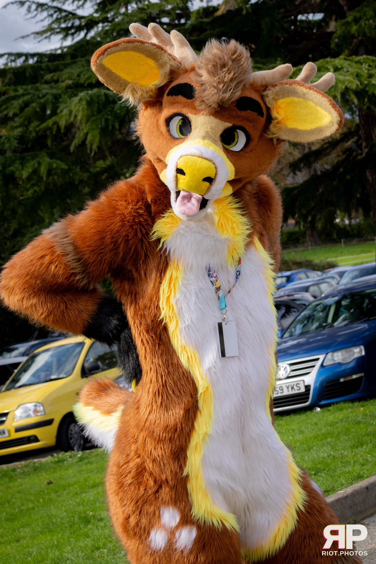 Pawsome 2025 — 19 Oct 2025, Fluffy Riot photography — photo 118