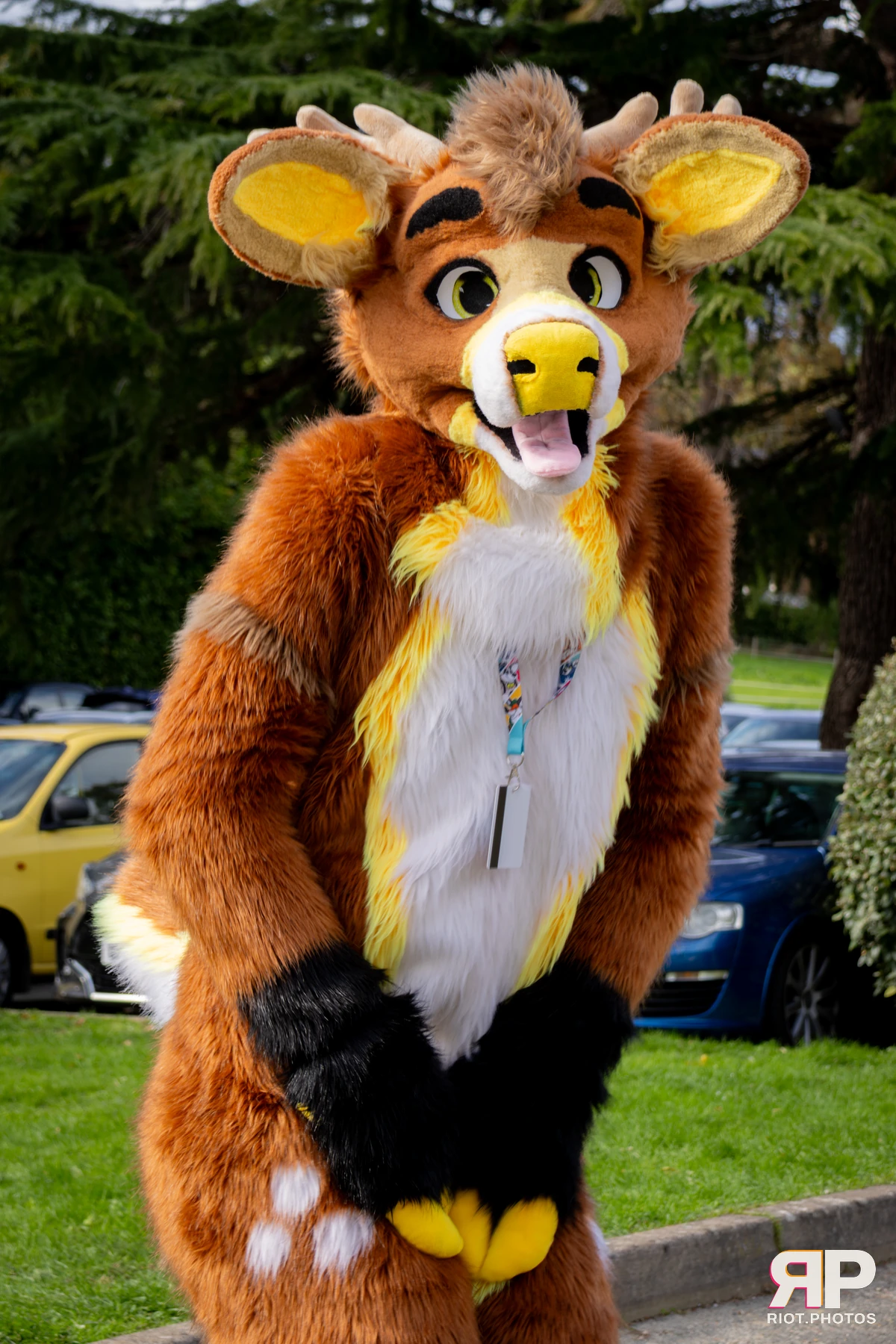 Pawsome 2025 — 19 Oct 2025, Fluffy Riot photography — photo 119