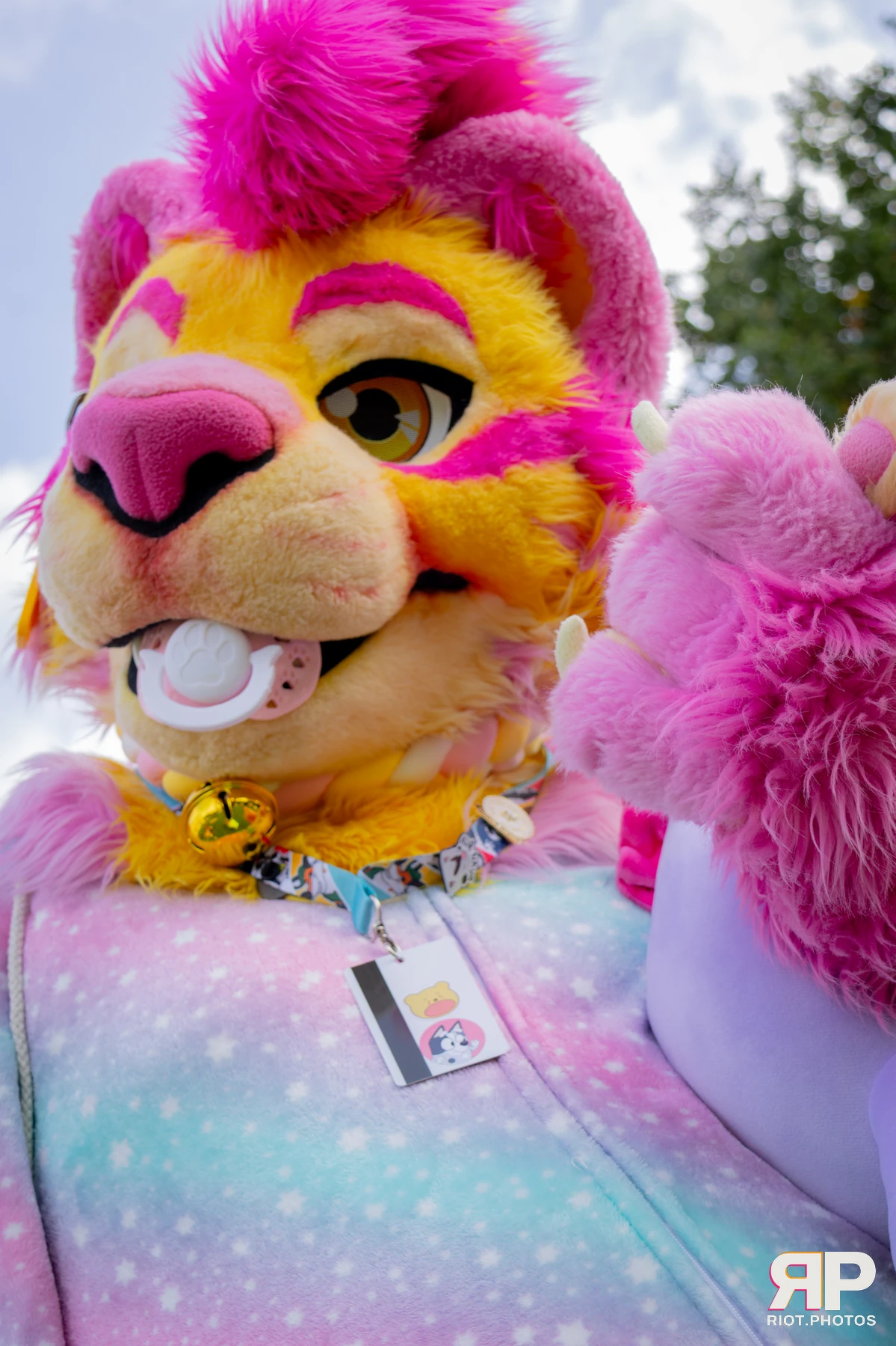 Grumpy / Starburst — furry & pup photography by Fluffy Riot — photo 30